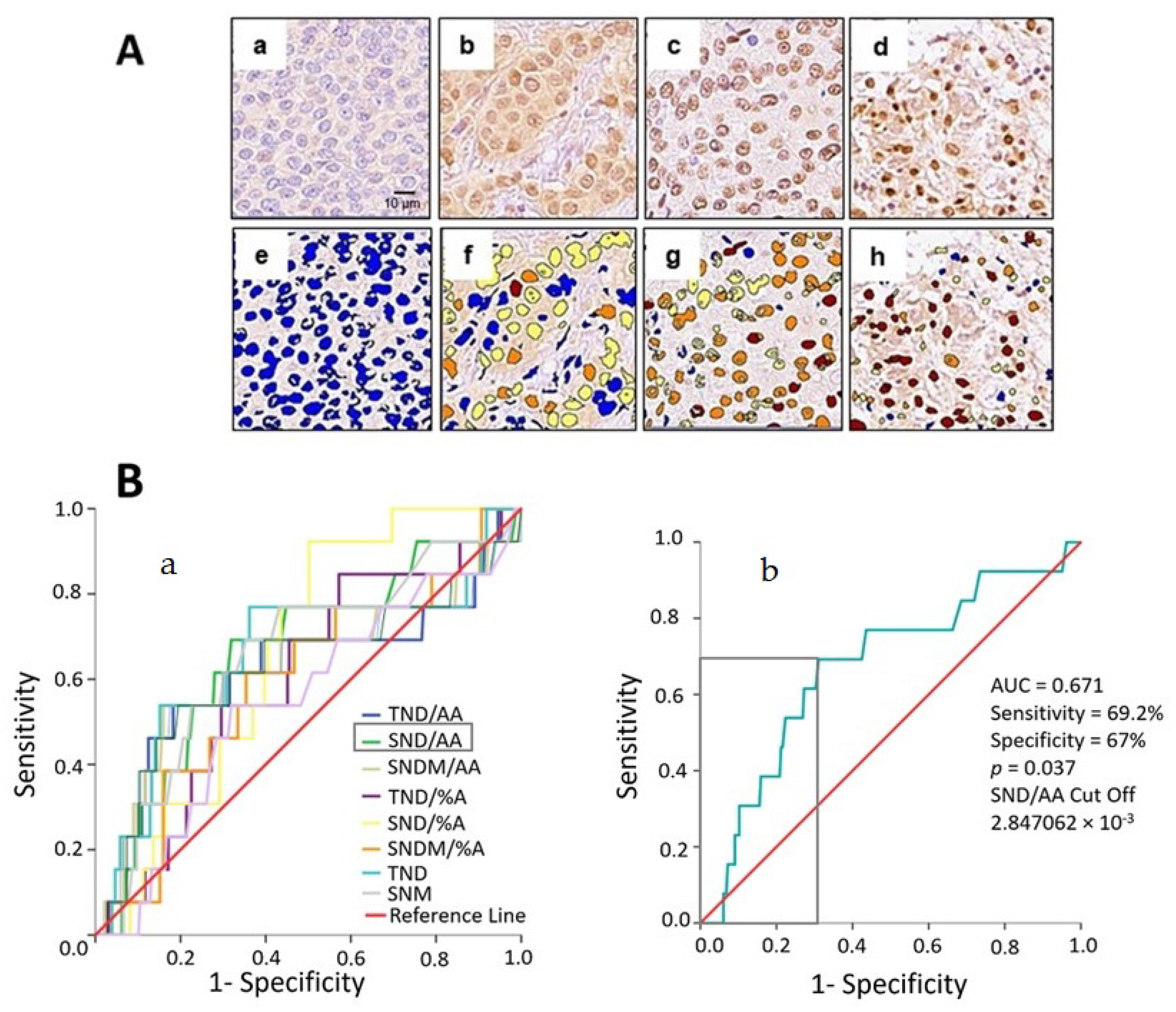 Ijms 25 08024 g003 Ijms 25 08024 g003