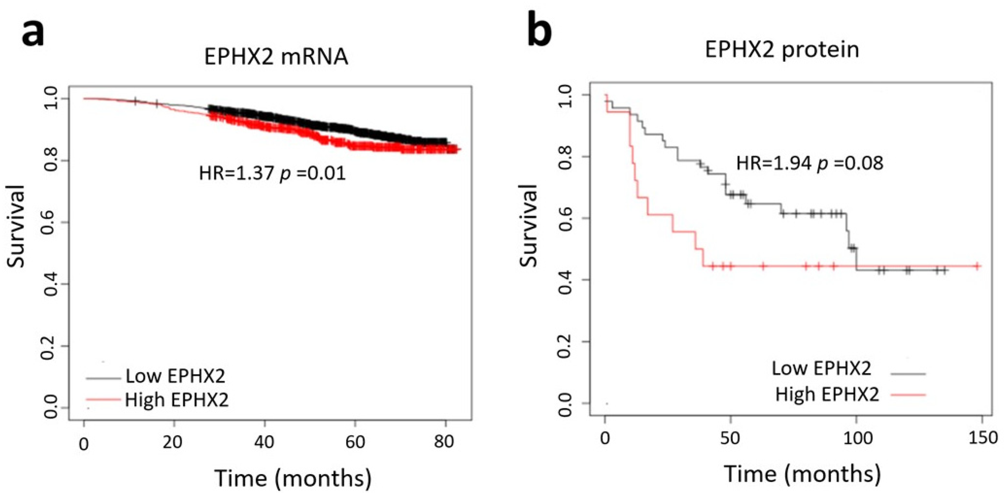 Ijms 25 08024 g005 Ijms 25 08024 g005