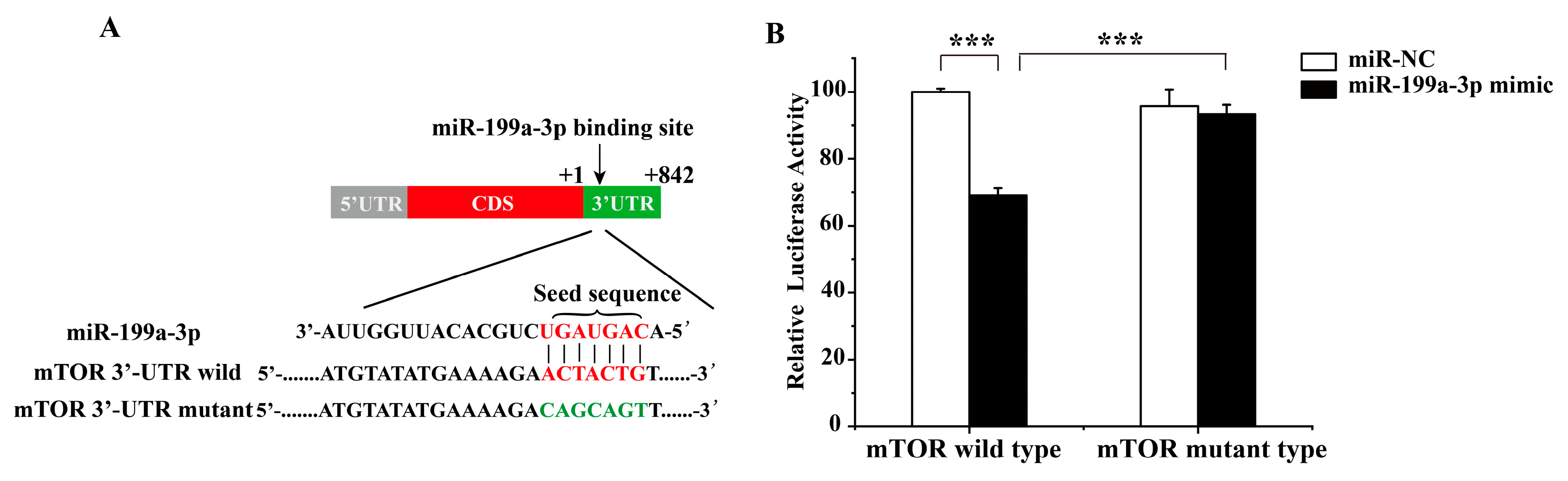 Ijms 25 08061 g002 Ijms 25 08061 g002