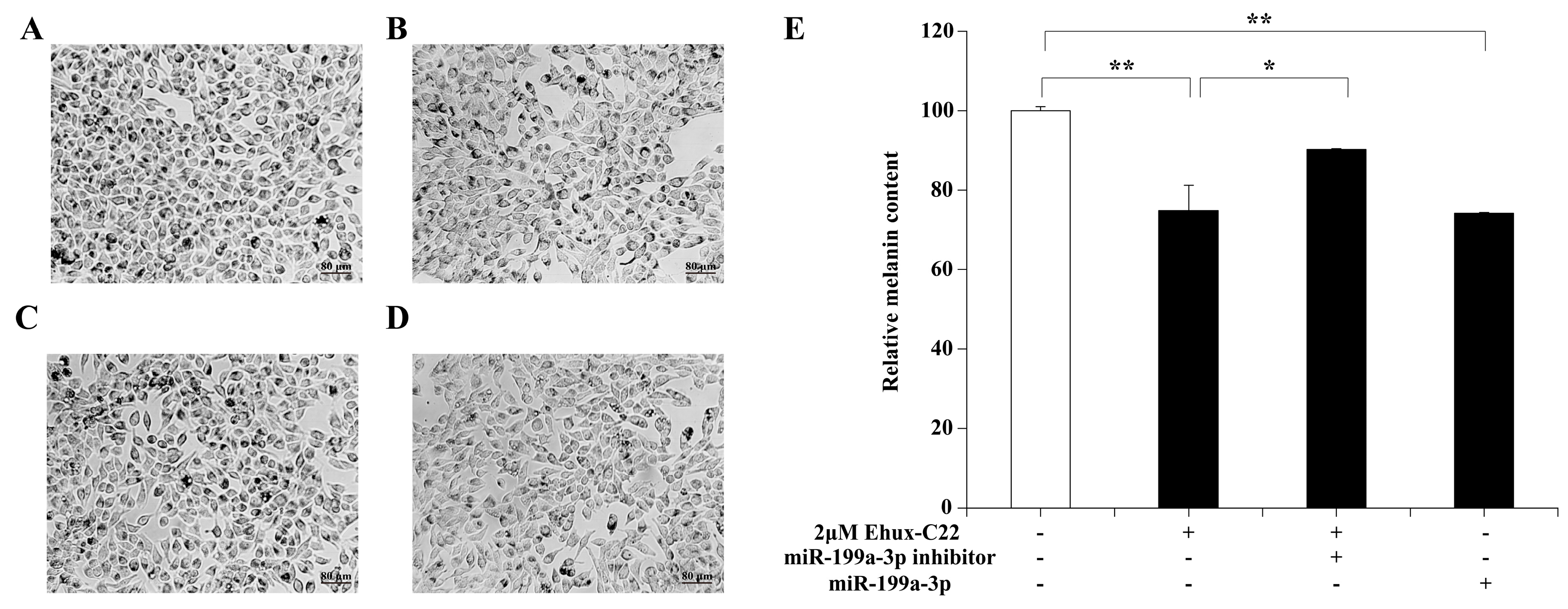 Ijms 25 08061 g004 Ijms 25 08061 g004