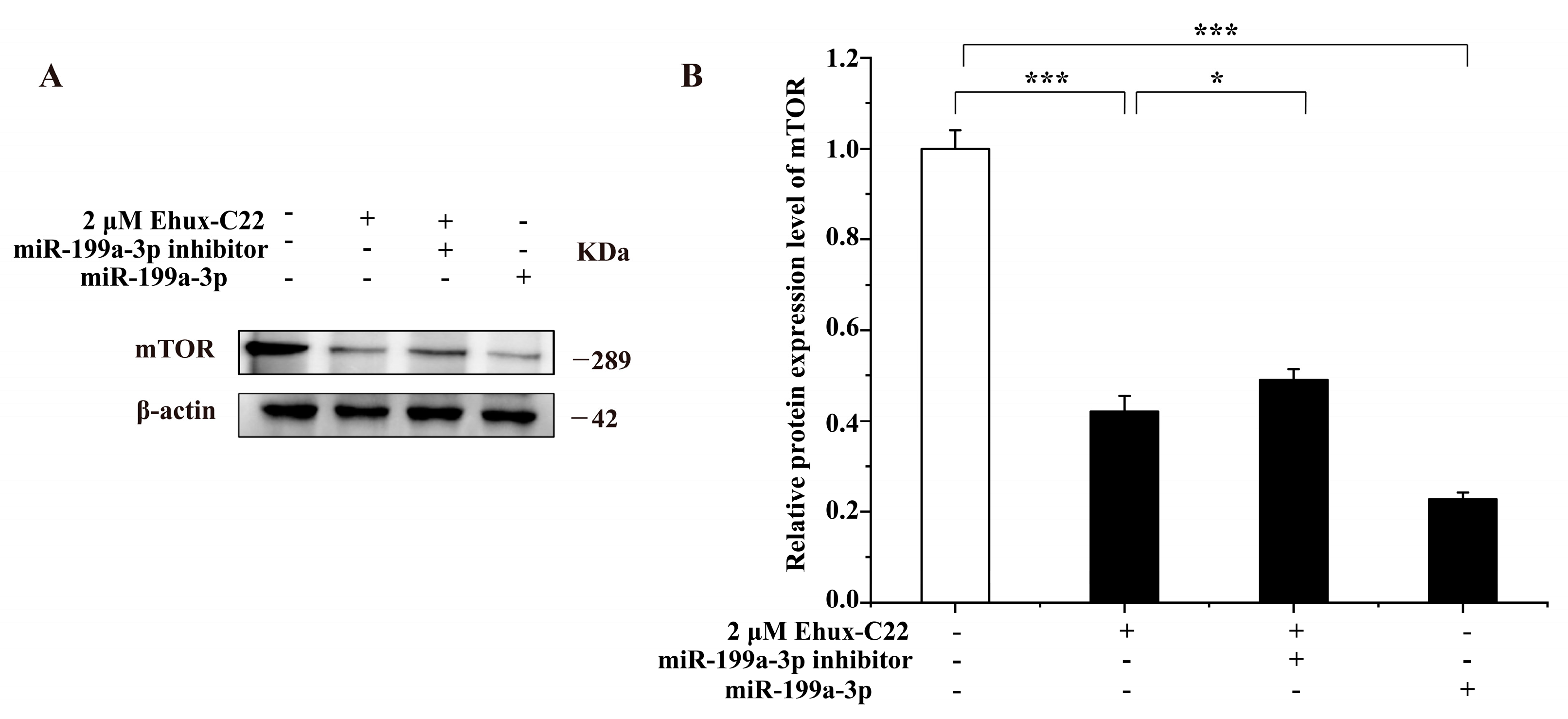 Ijms 25 08061 g007 Ijms 25 08061 g007