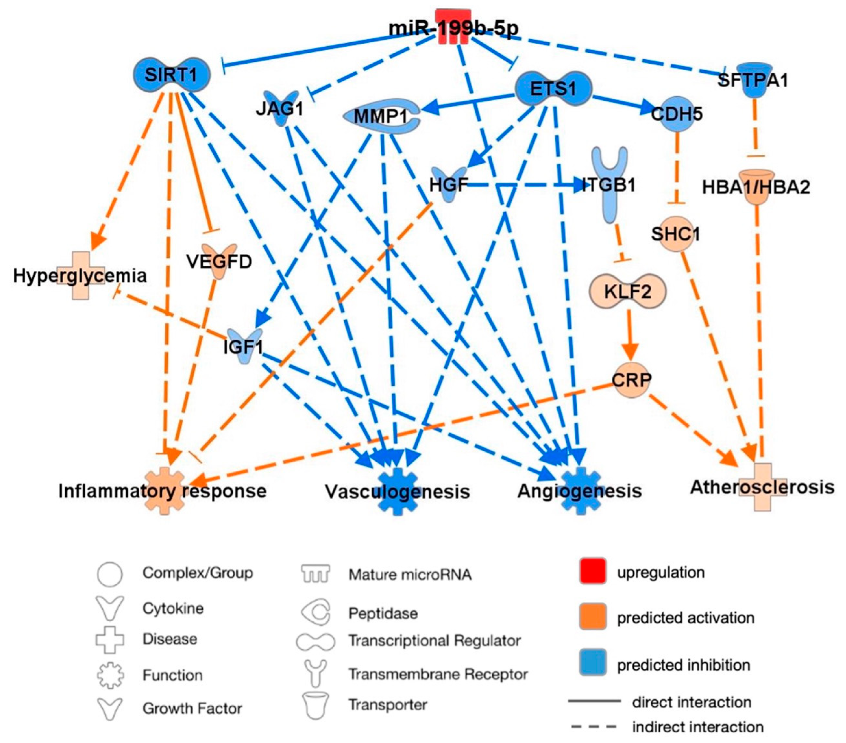 Ijms 25 08087 g004 Ijms 25 08087 g004