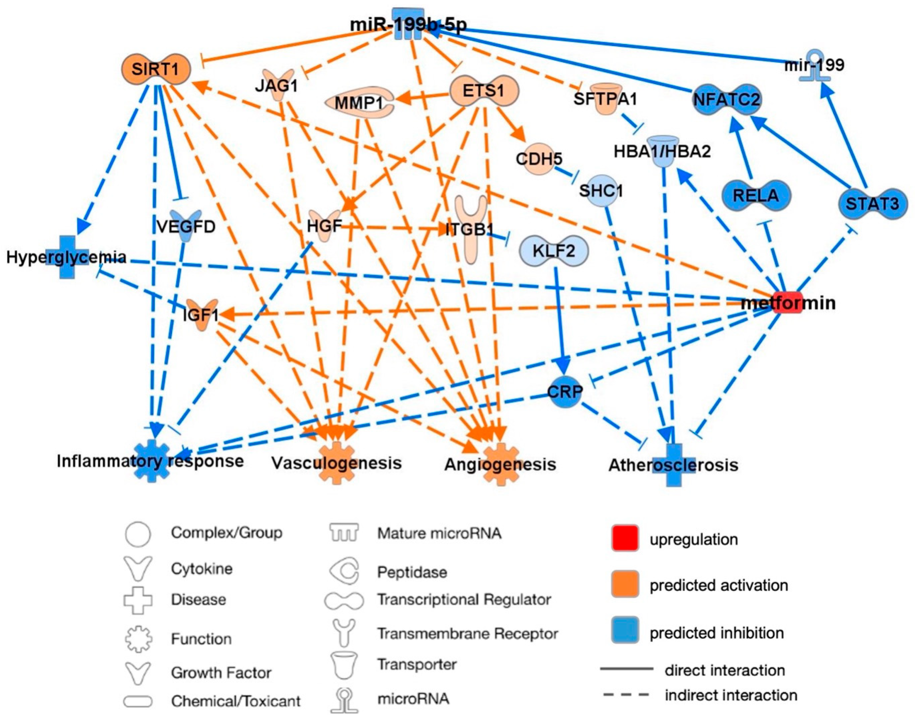 Ijms 25 08087 g005 Ijms 25 08087 g005