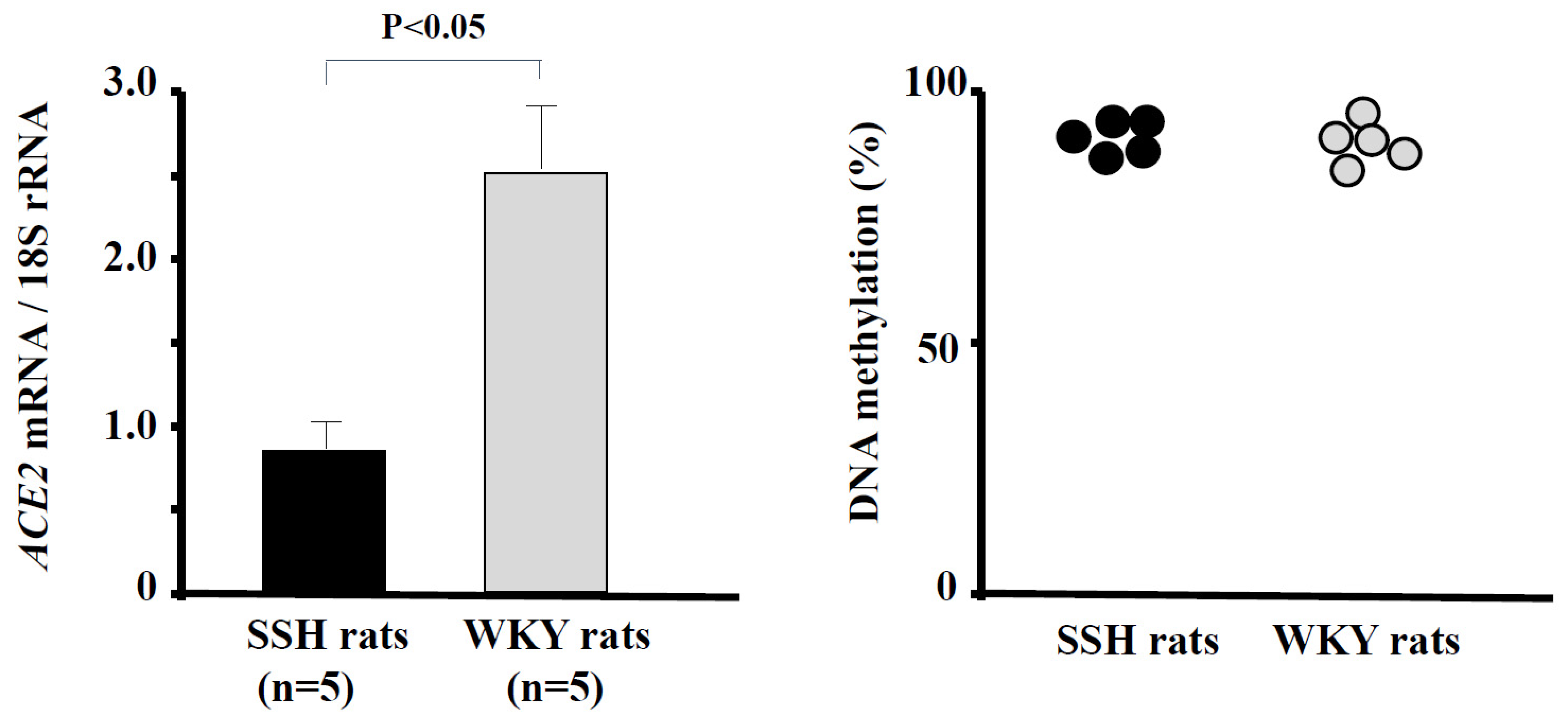 Ijms 25 08099 g002 Ijms 25 08099 g002
