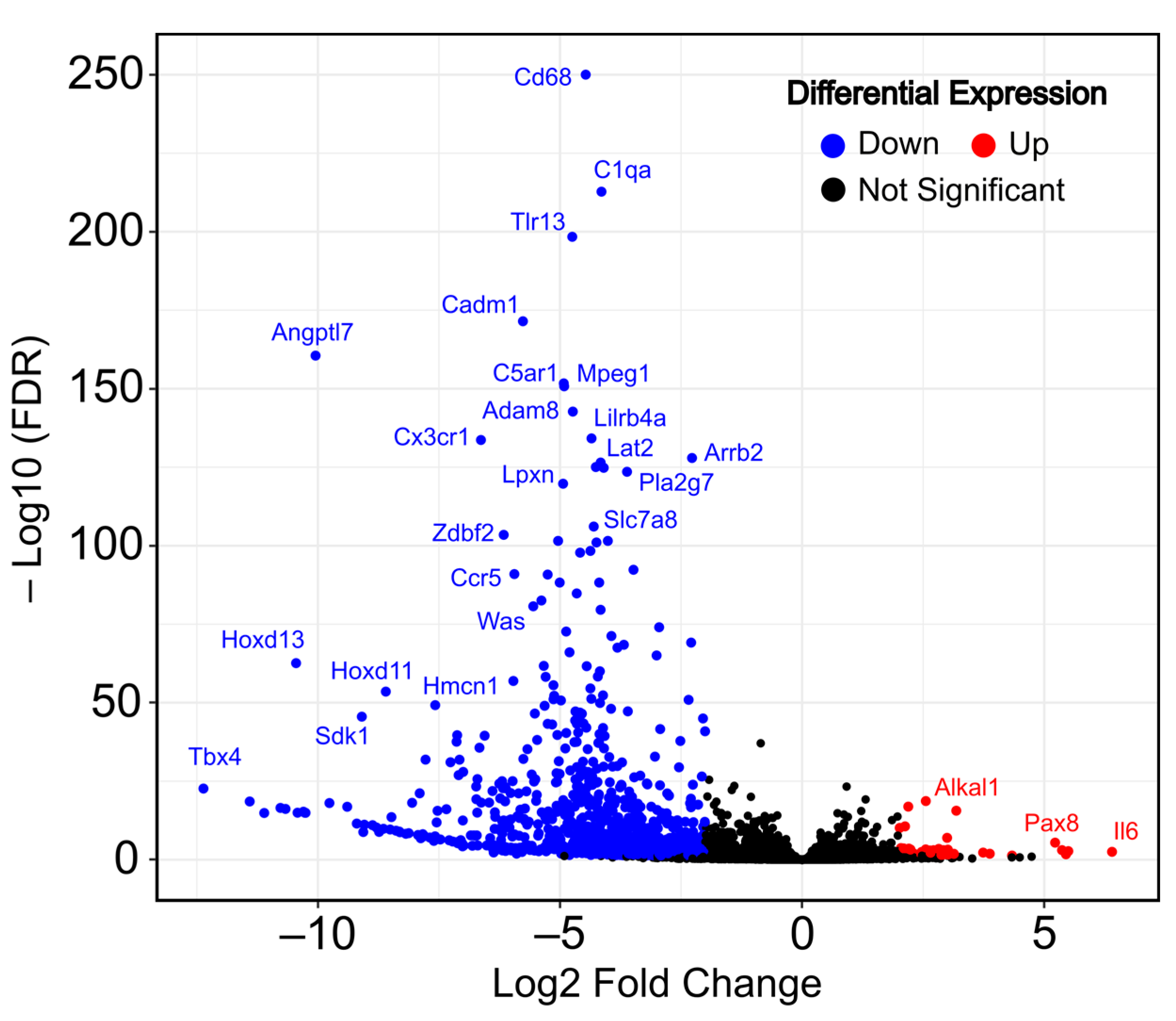 Ijms 25 08116 g001 Ijms 25 08116 g001