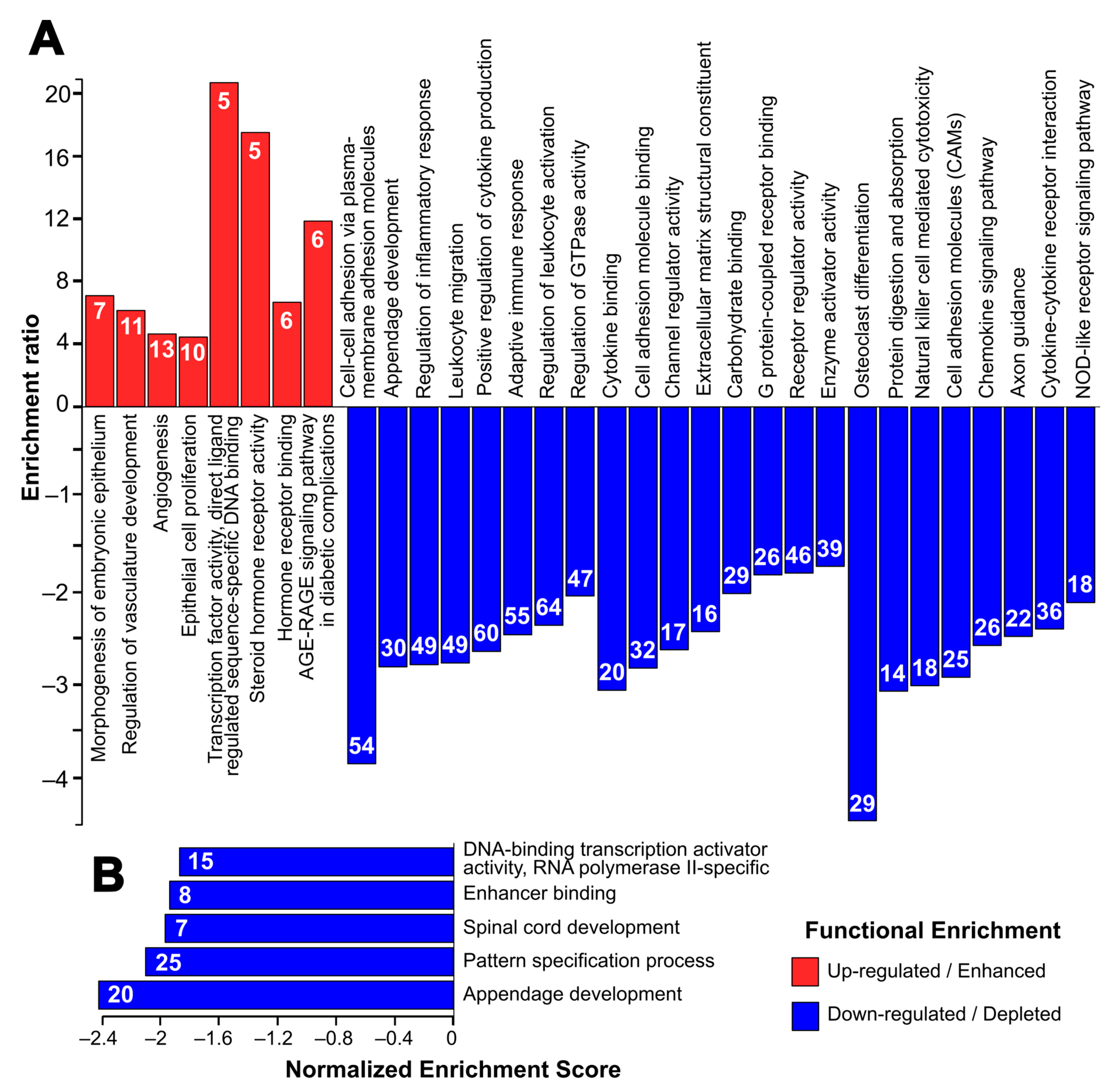 Ijms 25 08116 g003 Ijms 25 08116 g003