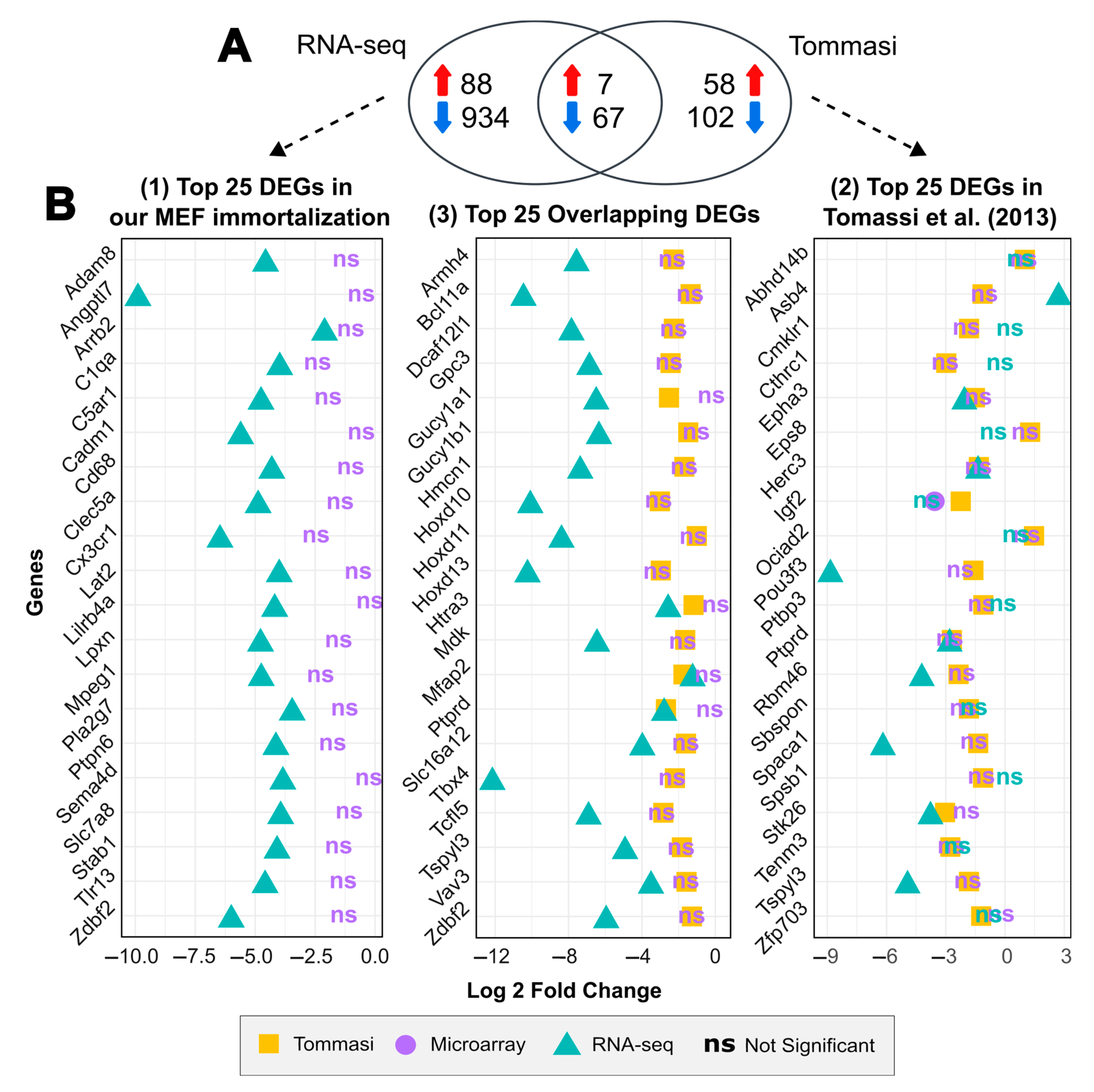 Ijms 25 08116 g005 Ijms 25 08116 g005