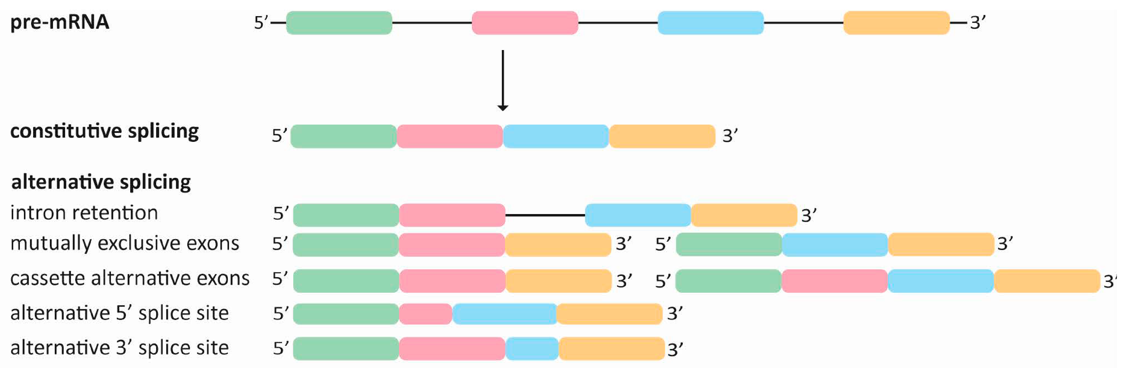 Ijms 25 08123 g001 Ijms 25 08123 g001