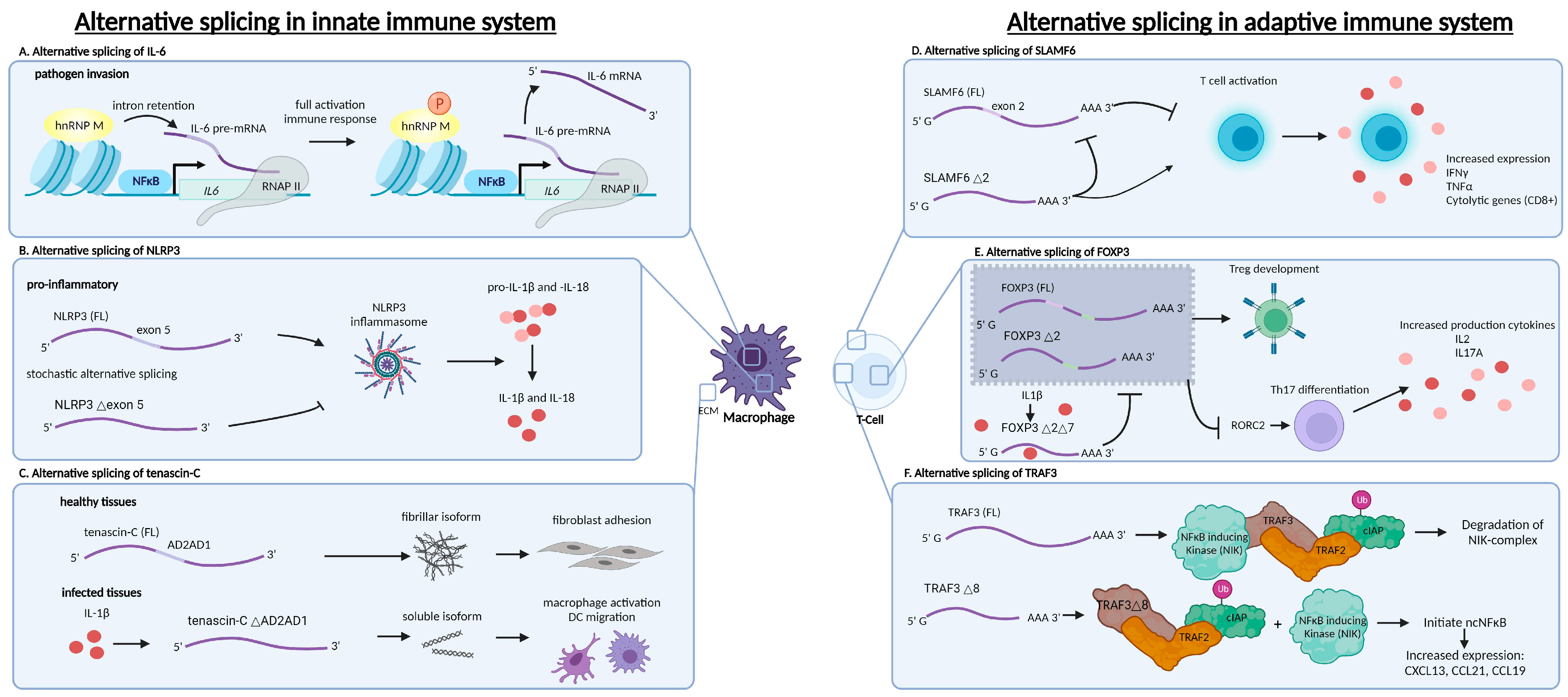 Ijms 25 08123 g002 Ijms 25 08123 g002