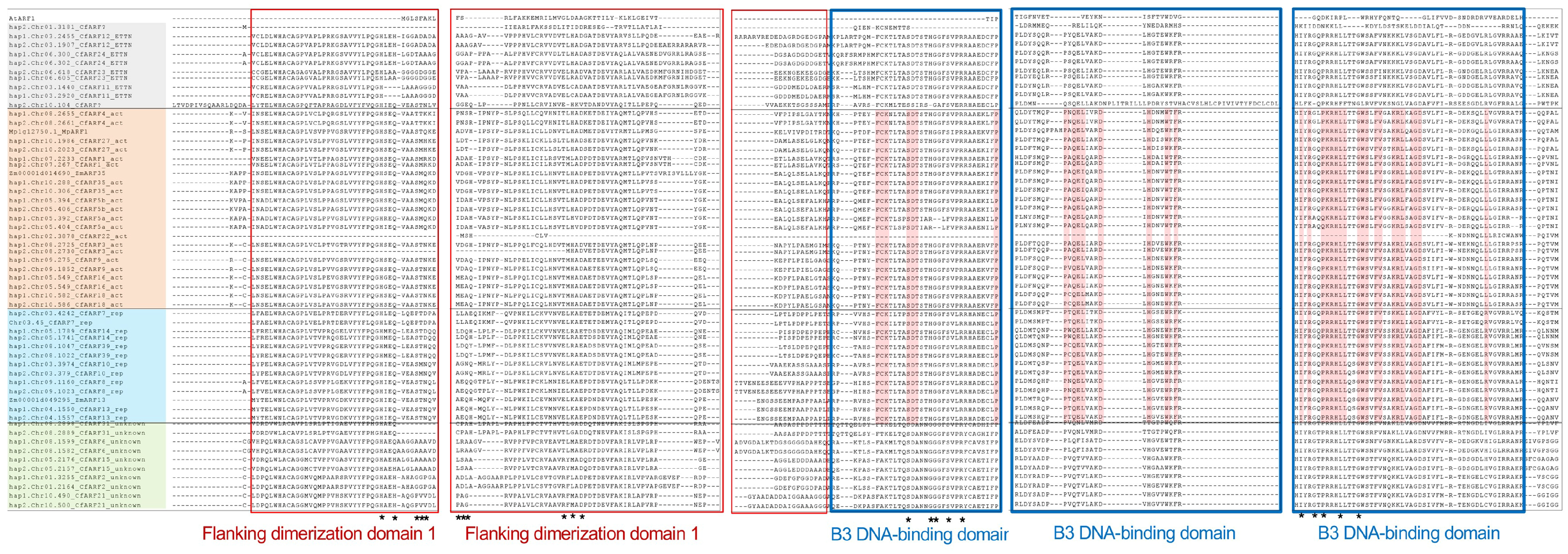 Ijms 25 08154 g002 Ijms 25 08154 g002
