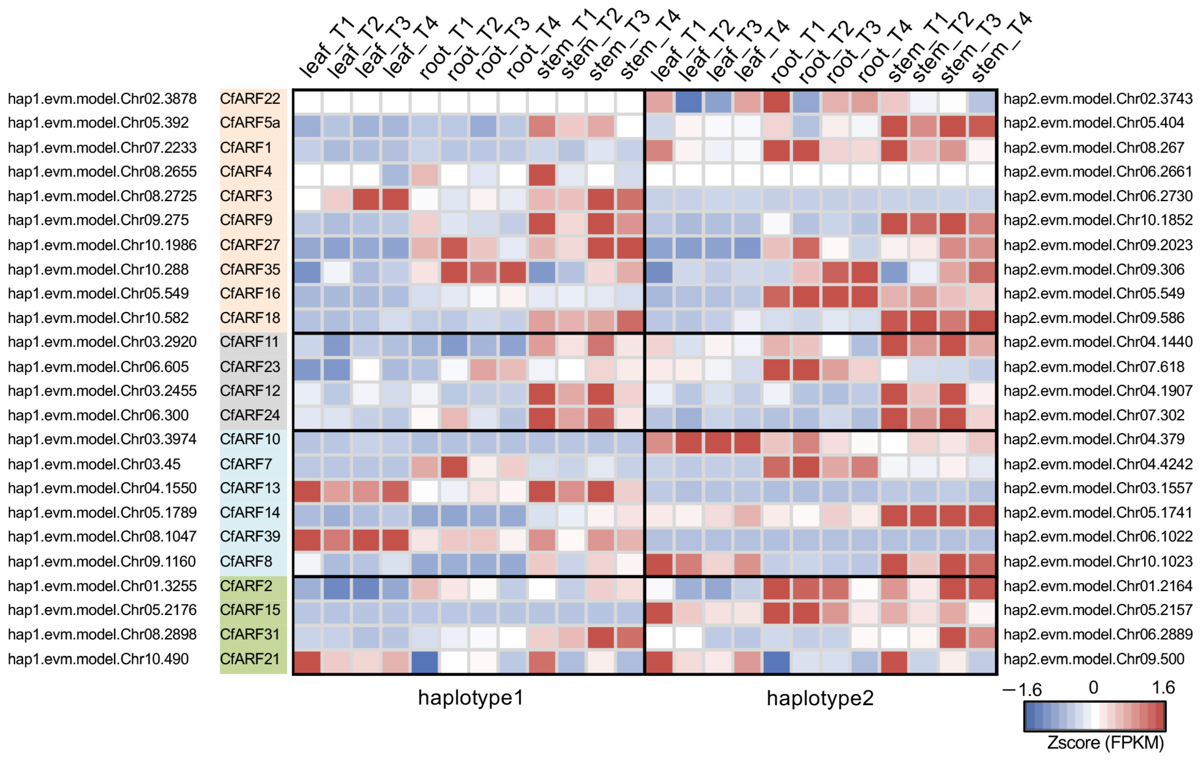 Ijms 25 08154 g005 Ijms 25 08154 g005