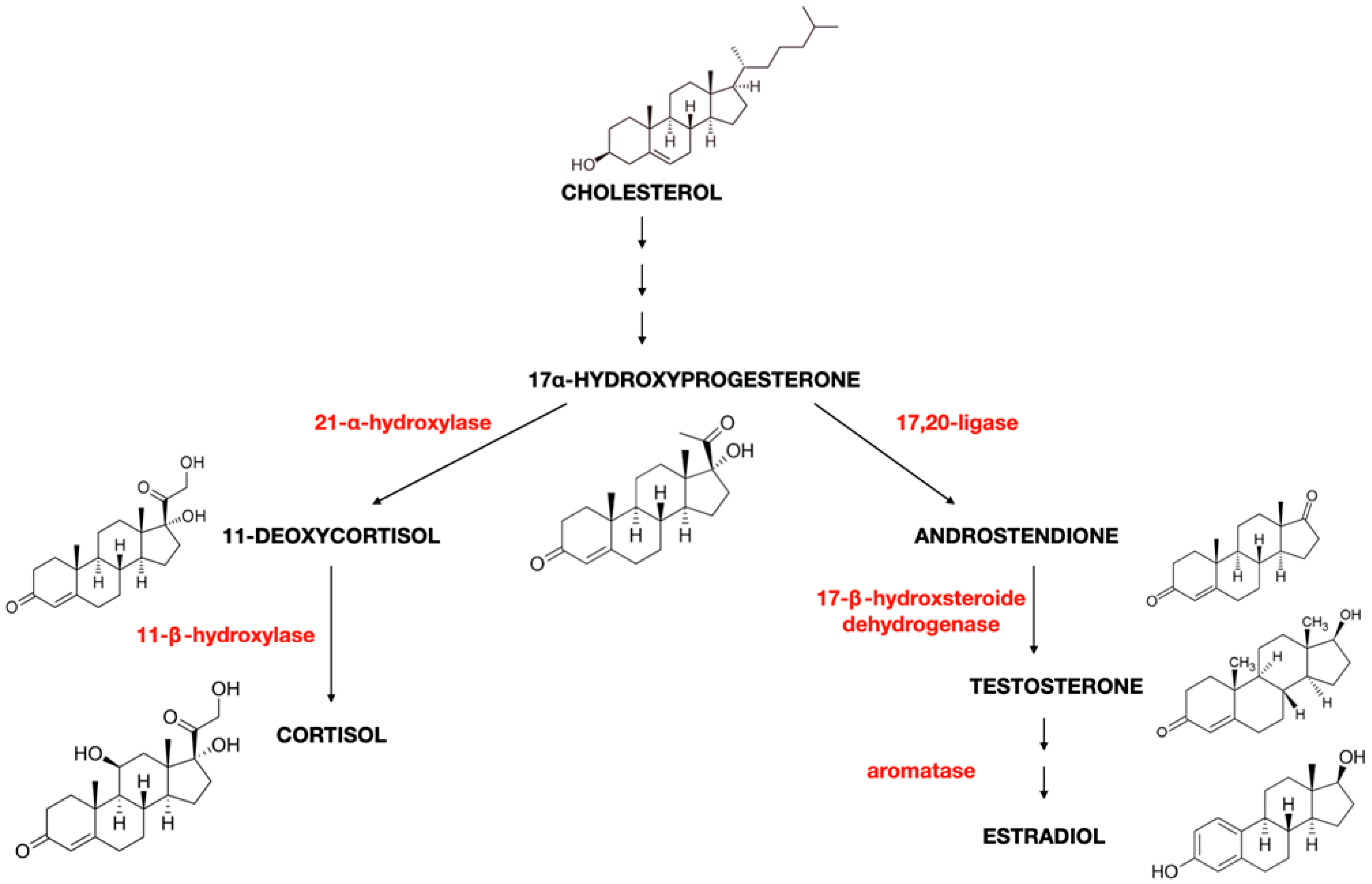 Ijms 25 08167 g003 Ijms 25 08167 g003