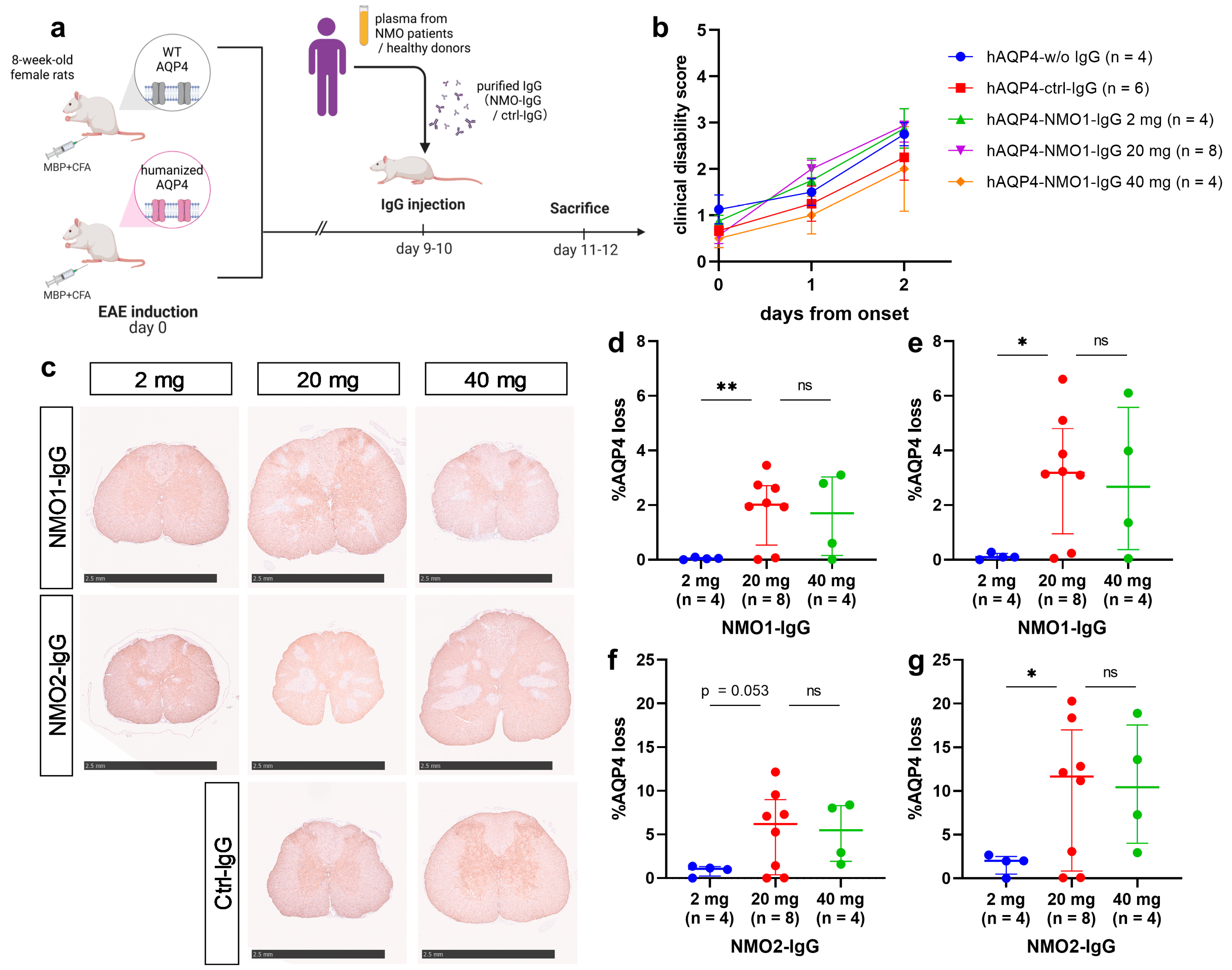 Ijms 25 08169 g002 Ijms 25 08169 g002