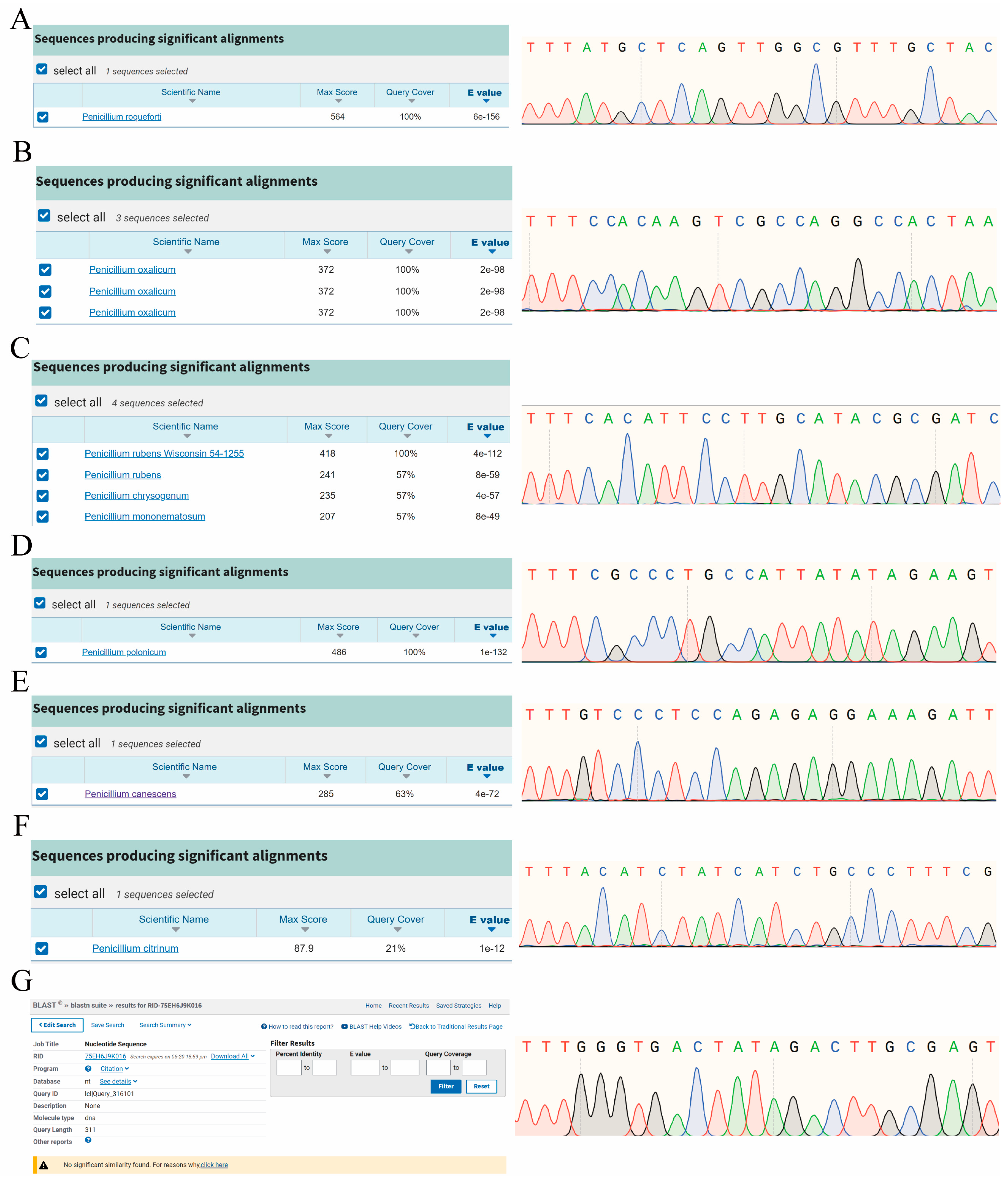 Ijms 25 08172 g003 Ijms 25 08172 g003