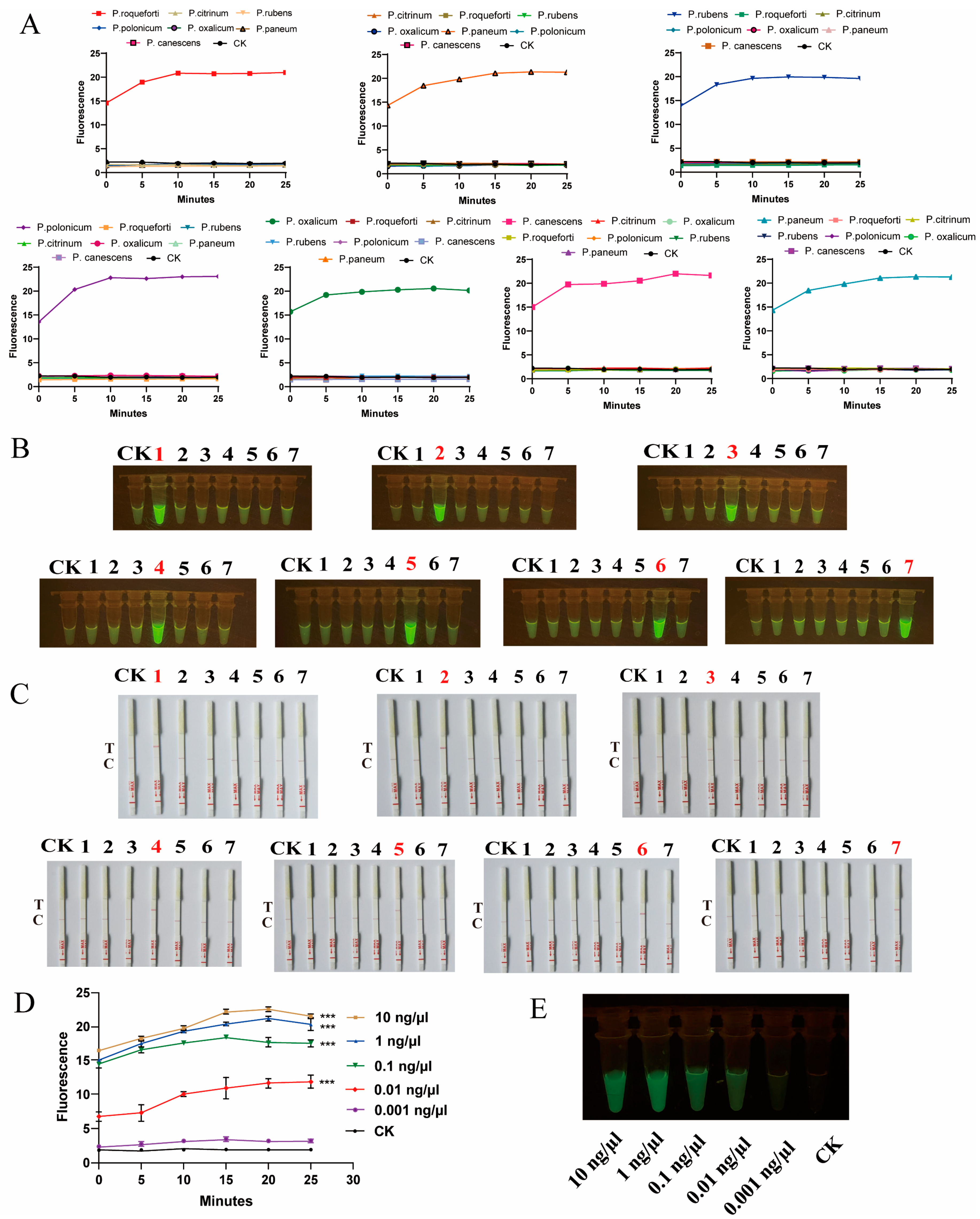 Ijms 25 08172 g004 Ijms 25 08172 g004
