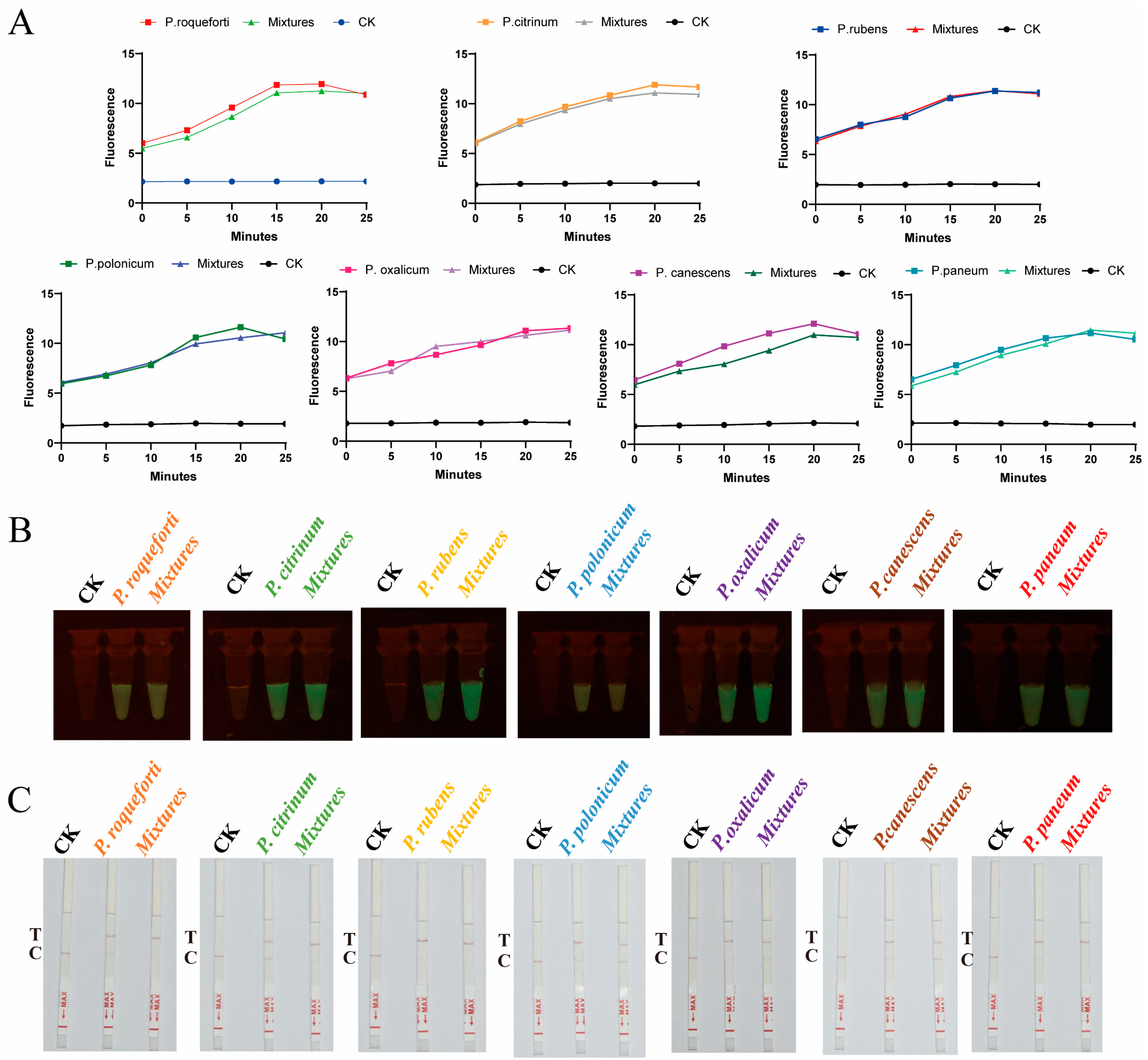 Ijms 25 08172 g005 Ijms 25 08172 g005