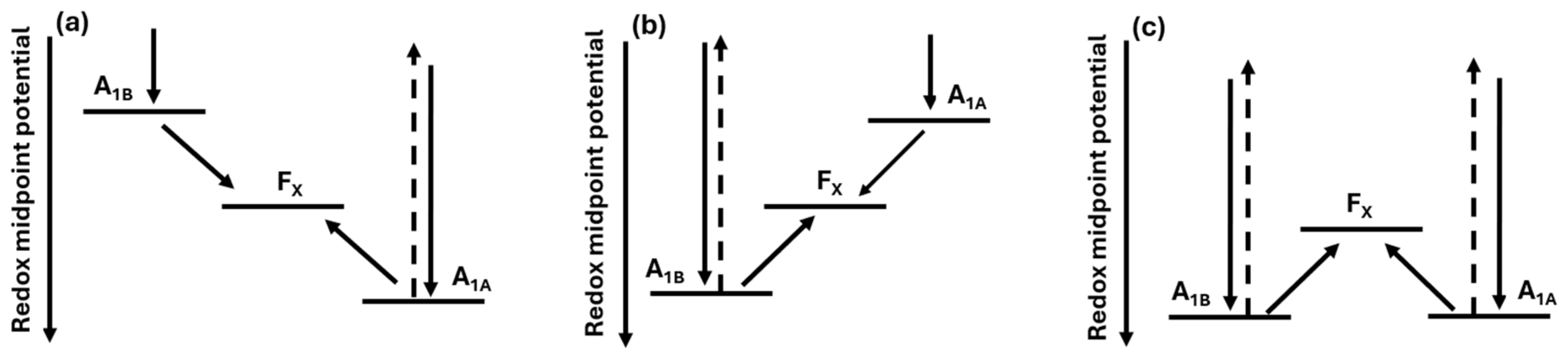 Ijms 25 08188 sch001