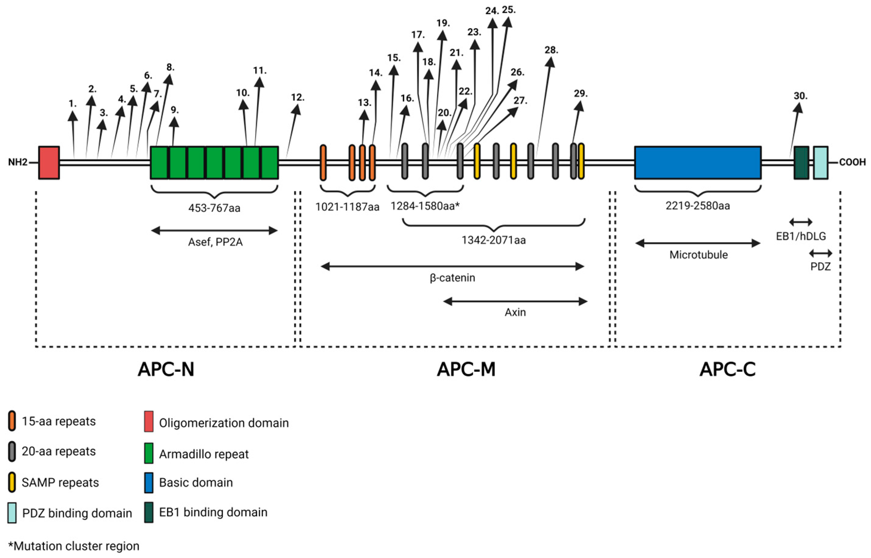Ijms 25 08189 g001 Ijms 25 08189 g001