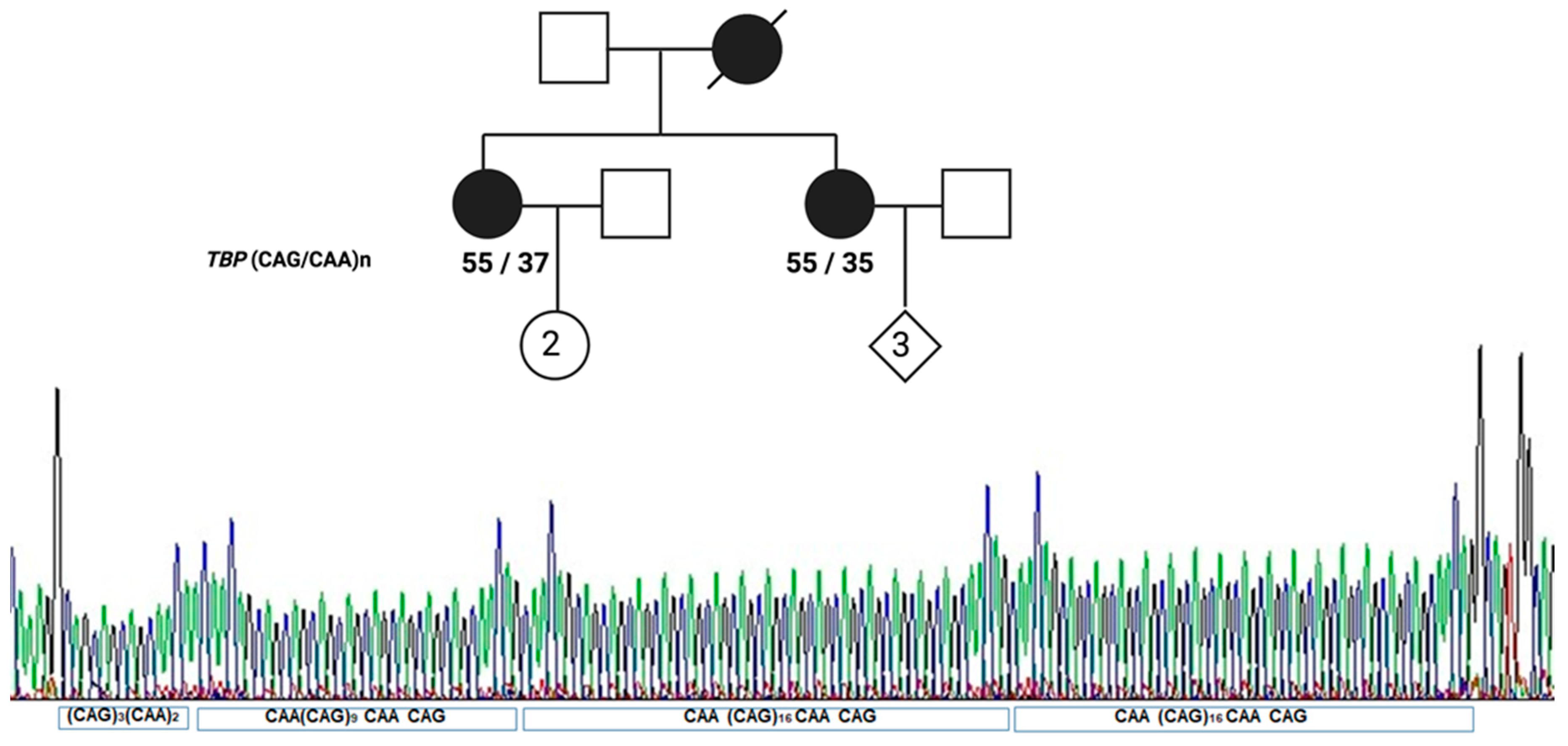 Ijms 25 08190 g001 Ijms 25 08190 g001