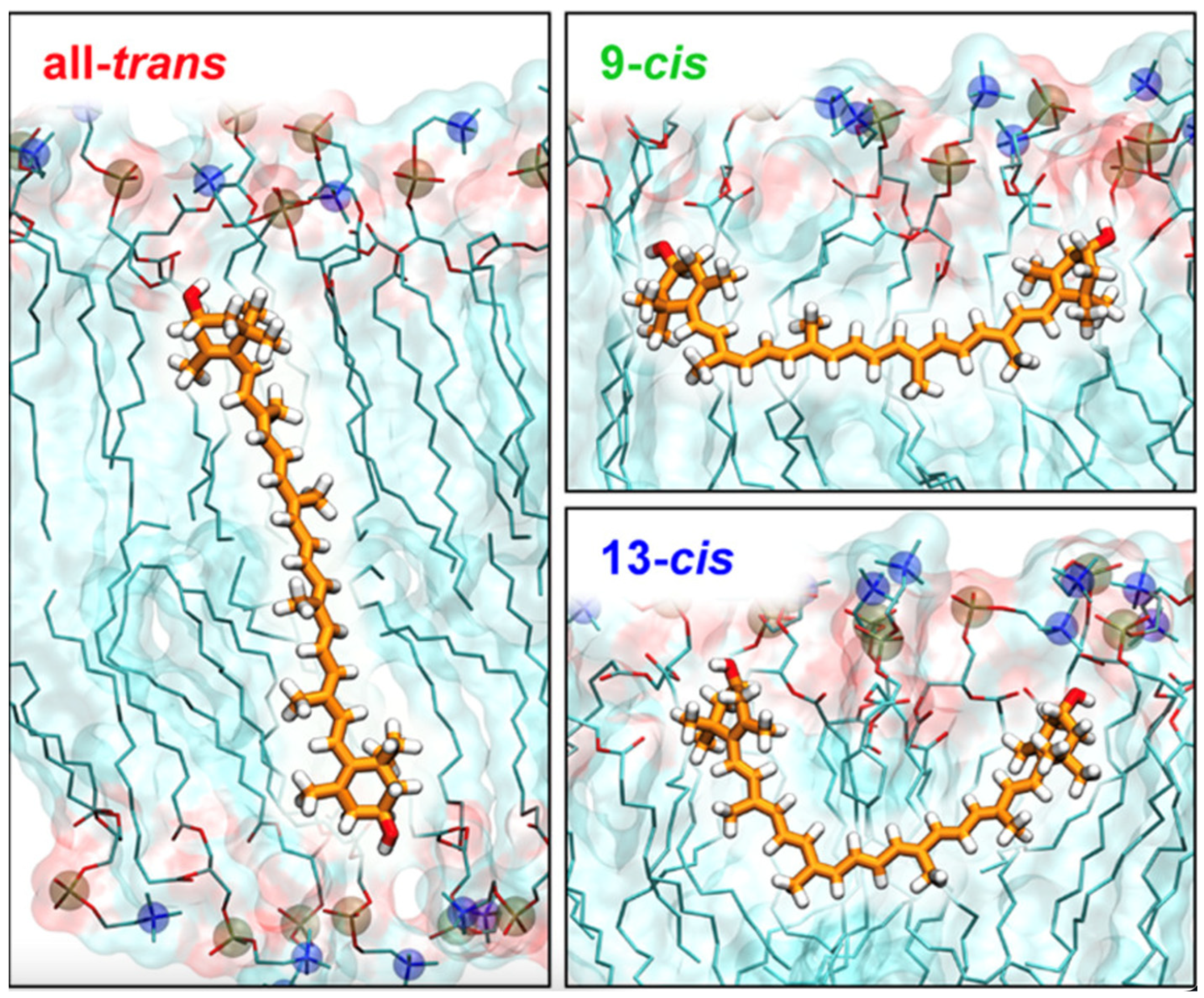 Ijms 25 08217 g004 Ijms 25 08217 g004