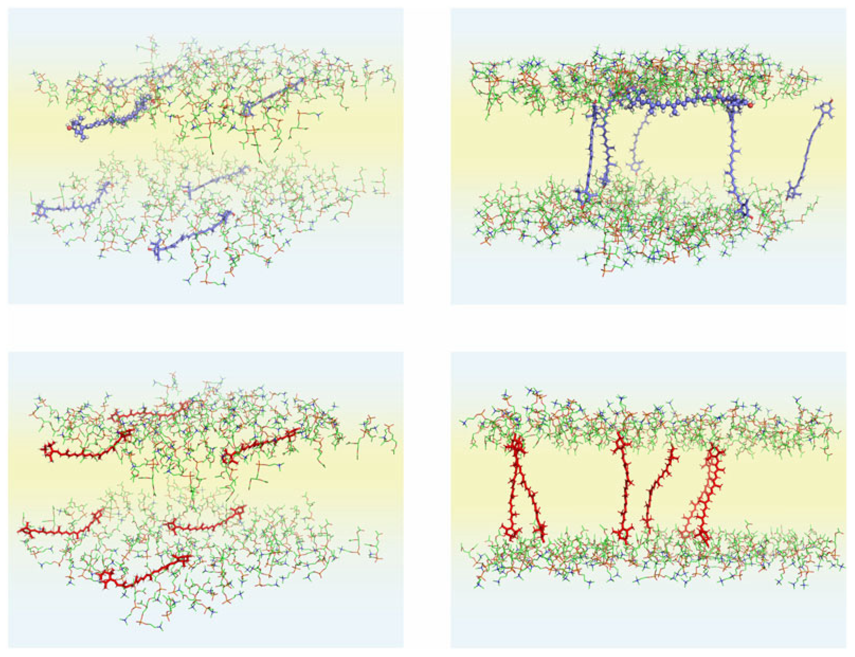 Ijms 25 08217 g005 Ijms 25 08217 g005