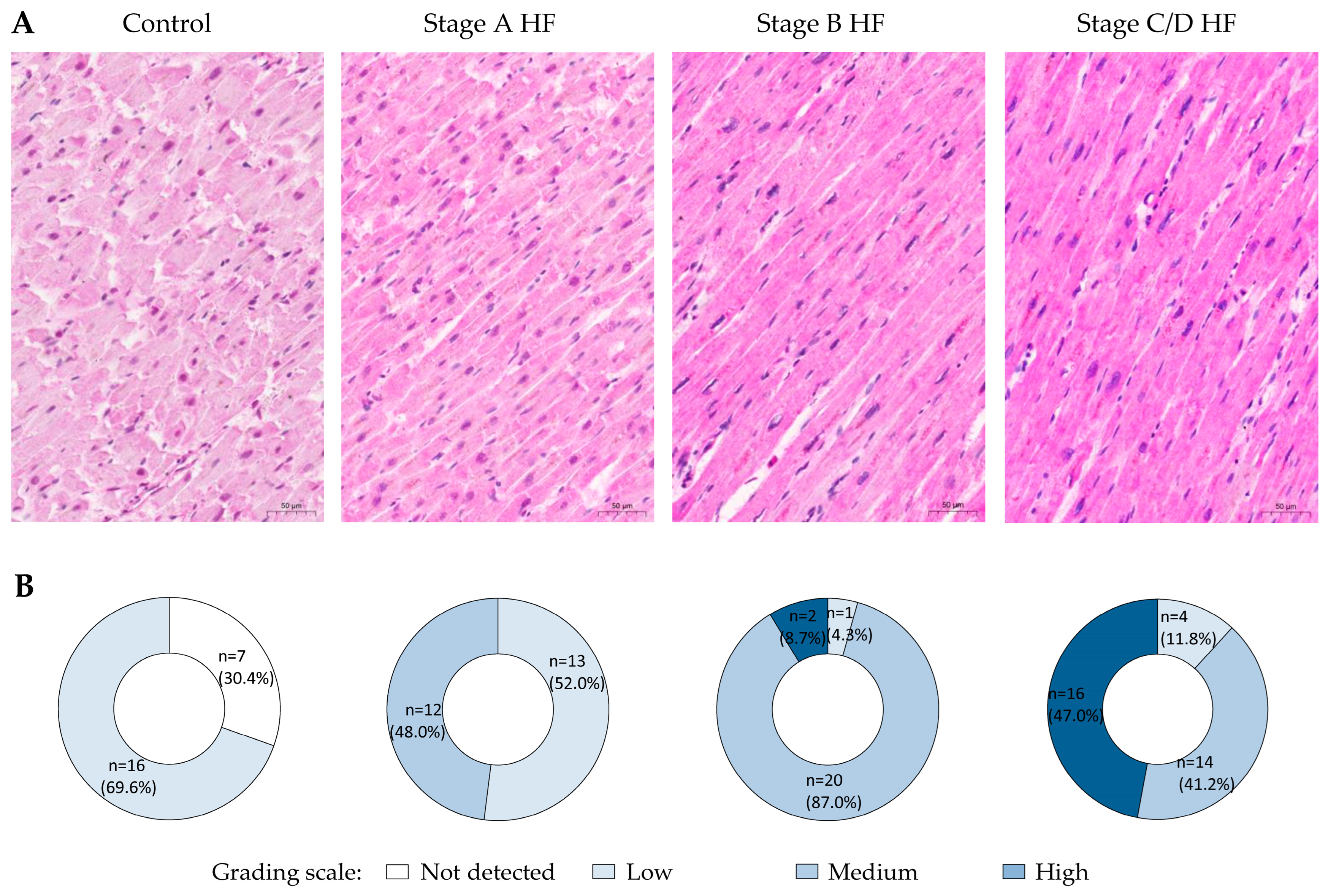 Ijms 25 08240 g001 Ijms 25 08240 g001