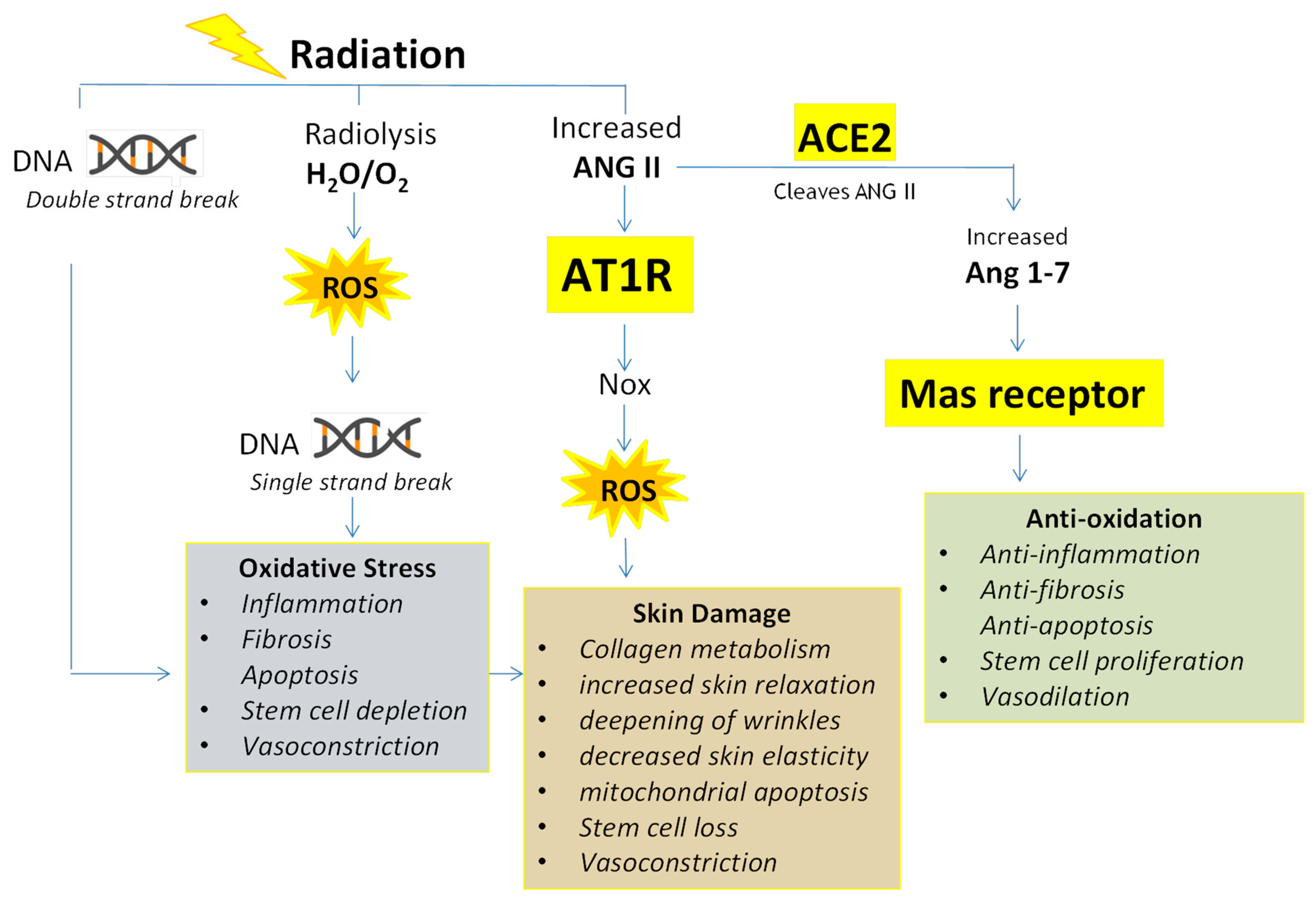 Ijms 25 08261 g001 Ijms 25 08261 g001