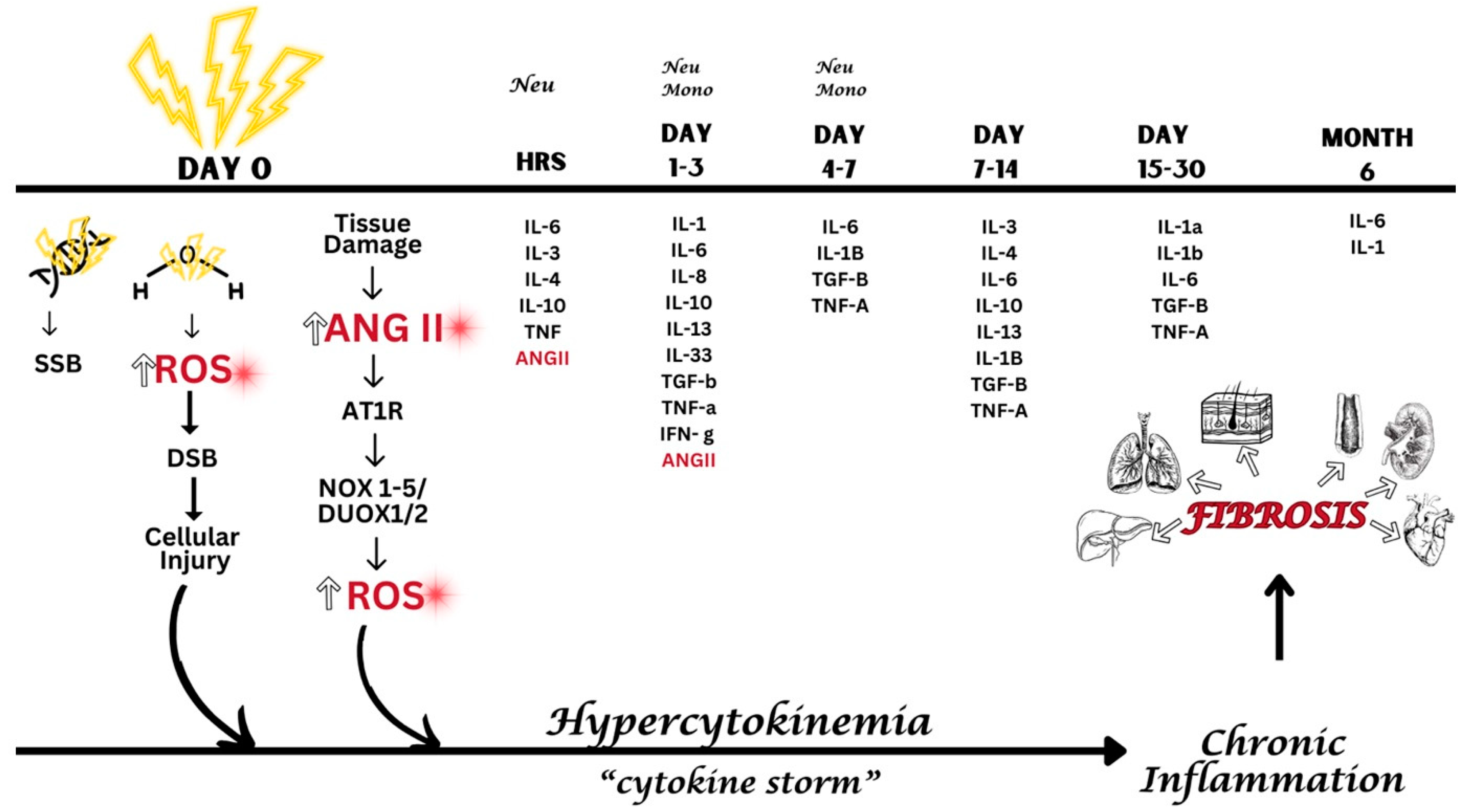 Ijms 25 08261 g003 Ijms 25 08261 g003