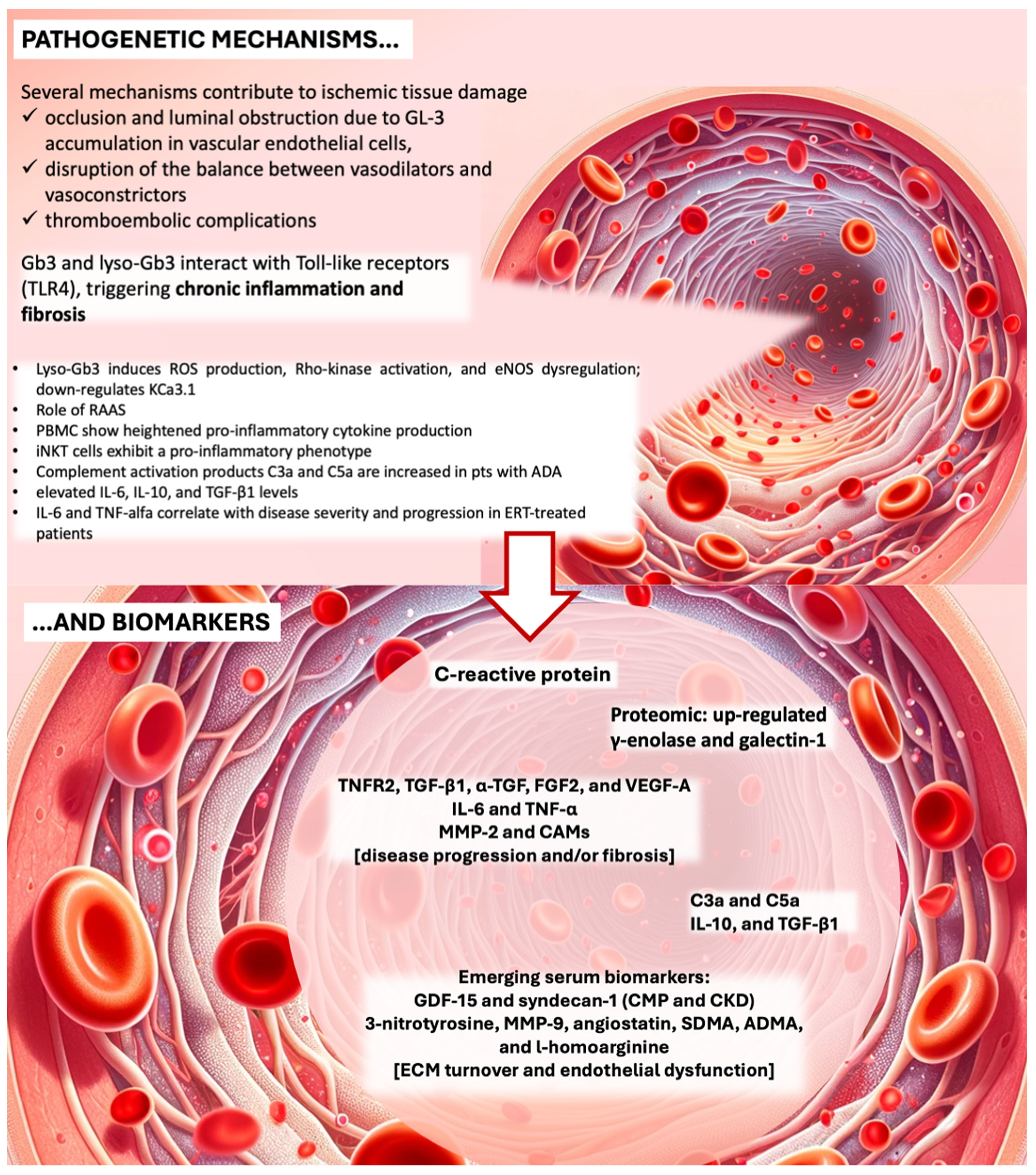 Ijms 25 08273 g001 Ijms 25 08273 g001