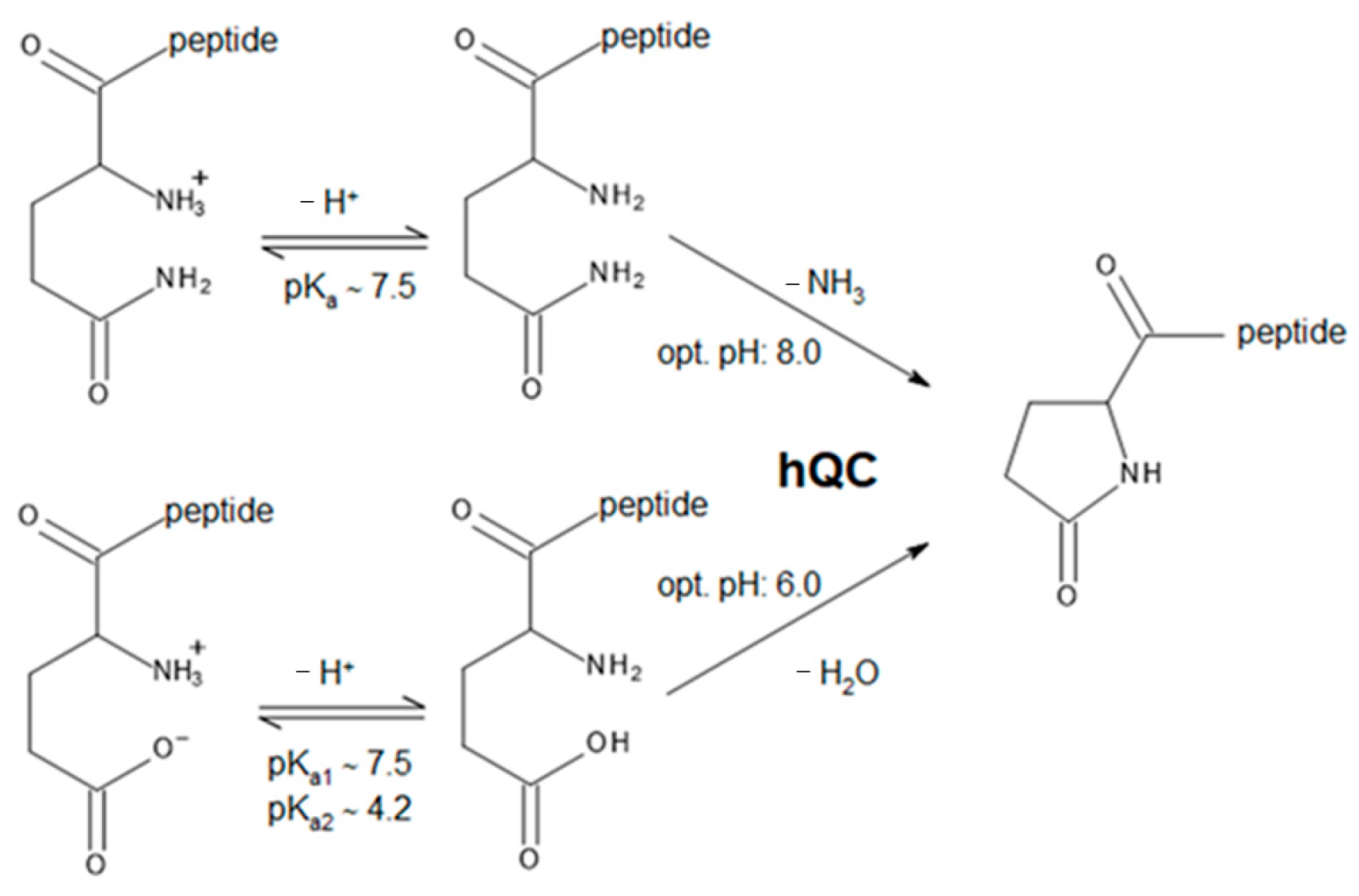 Ijms 25 08279 sch001