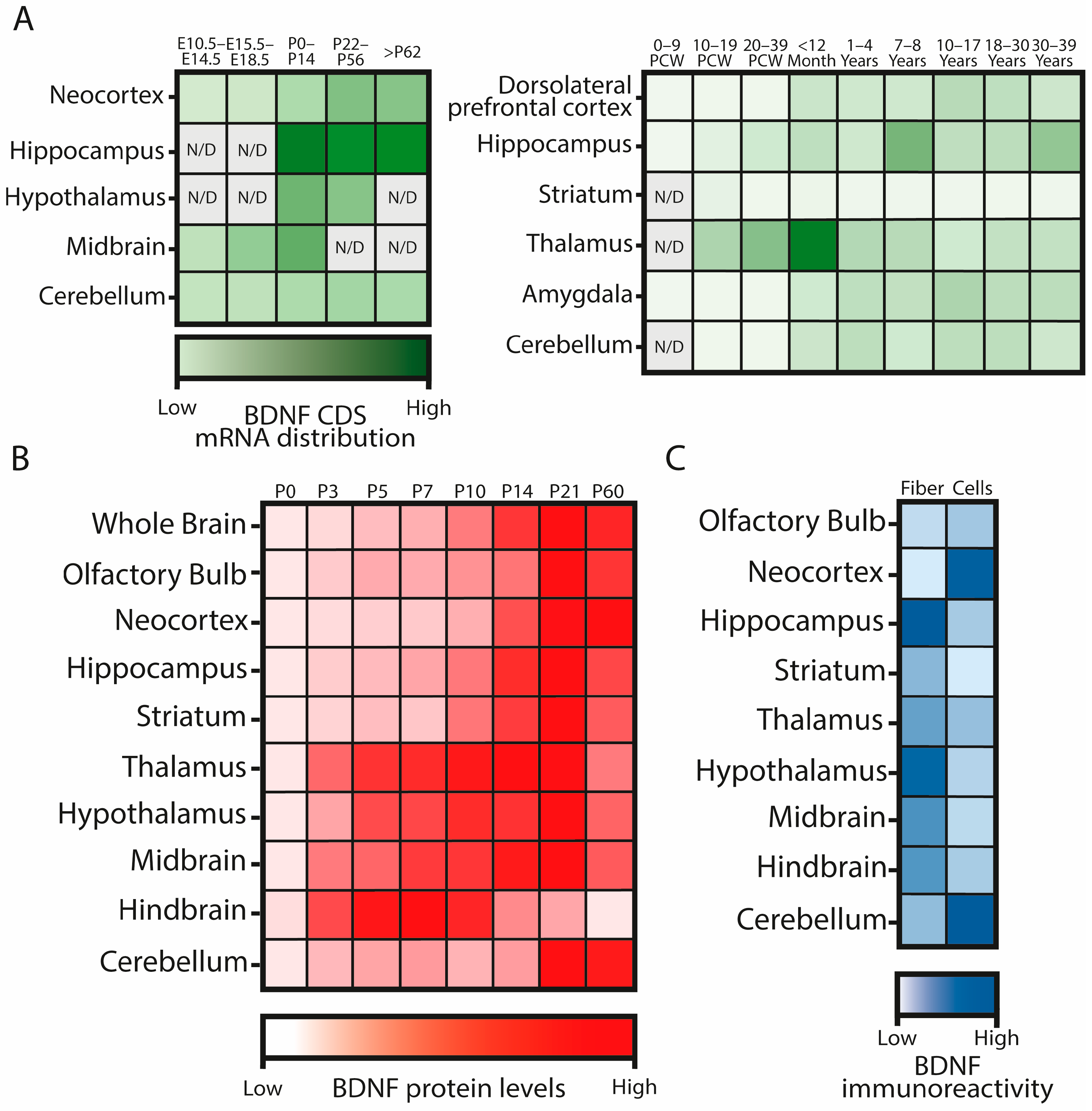 Ijms 25 08312 g002 Ijms 25 08312 g002