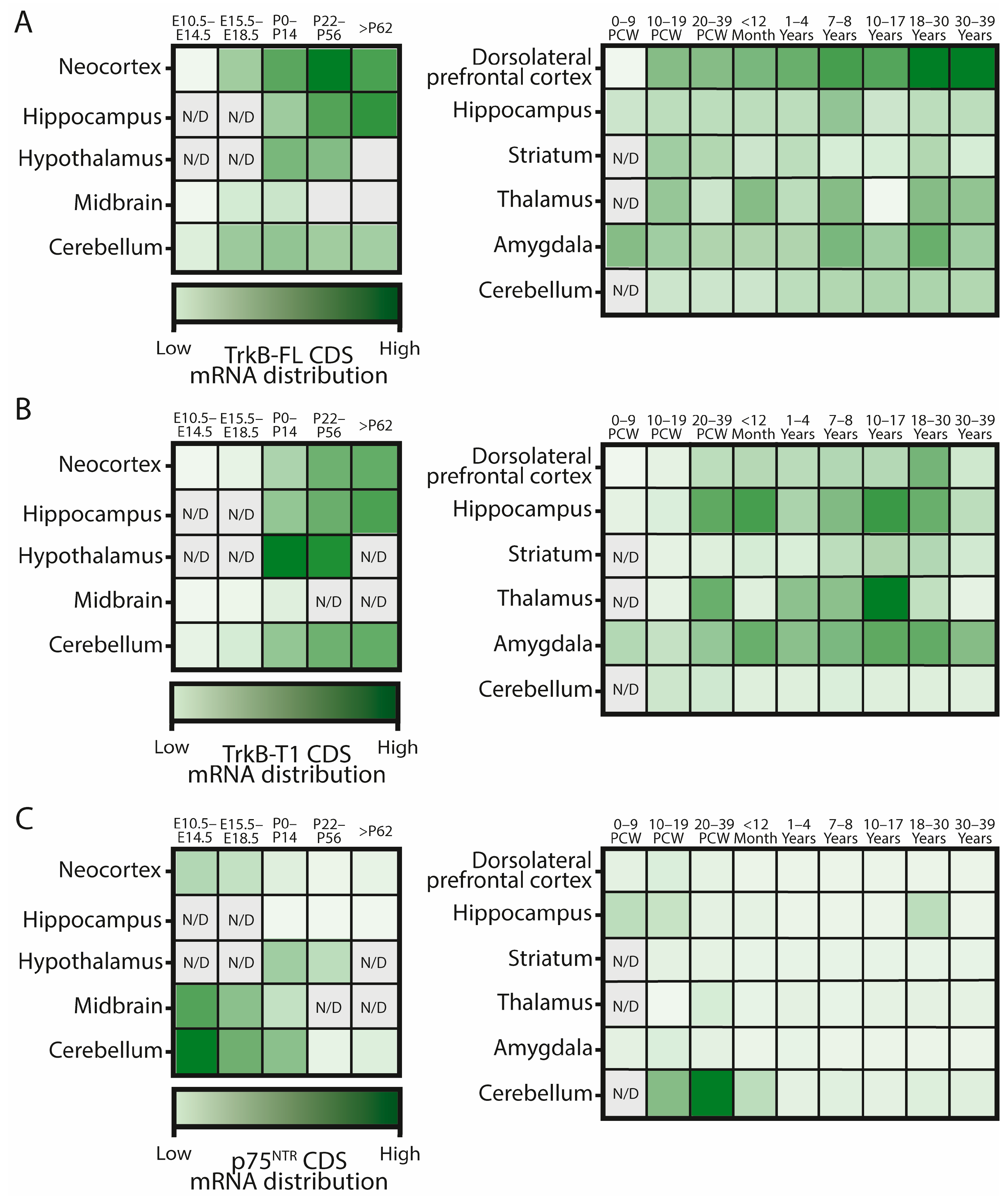 Ijms 25 08312 g005 Ijms 25 08312 g005