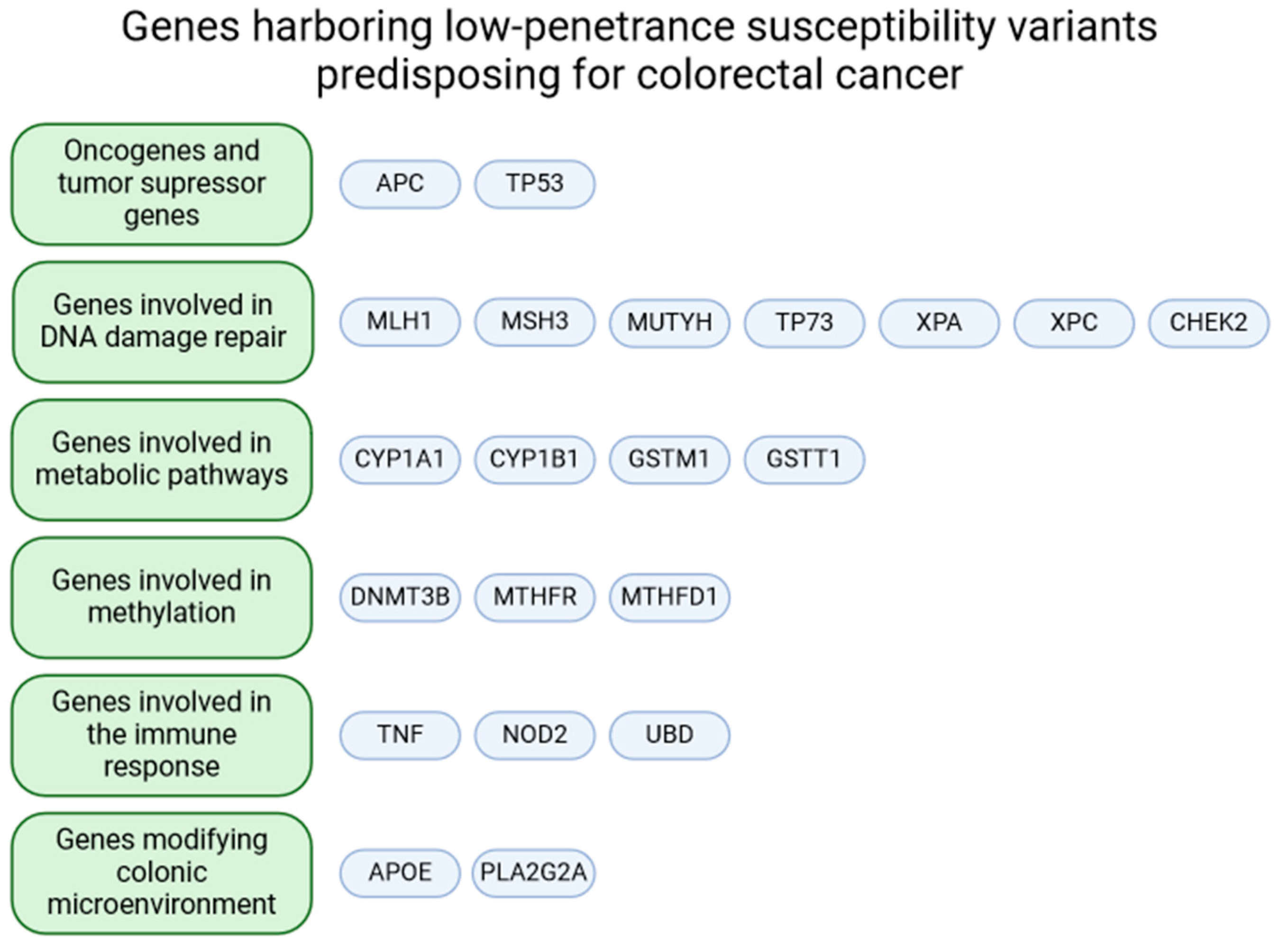 Ijms 25 08338 g001 Ijms 25 08338 g001