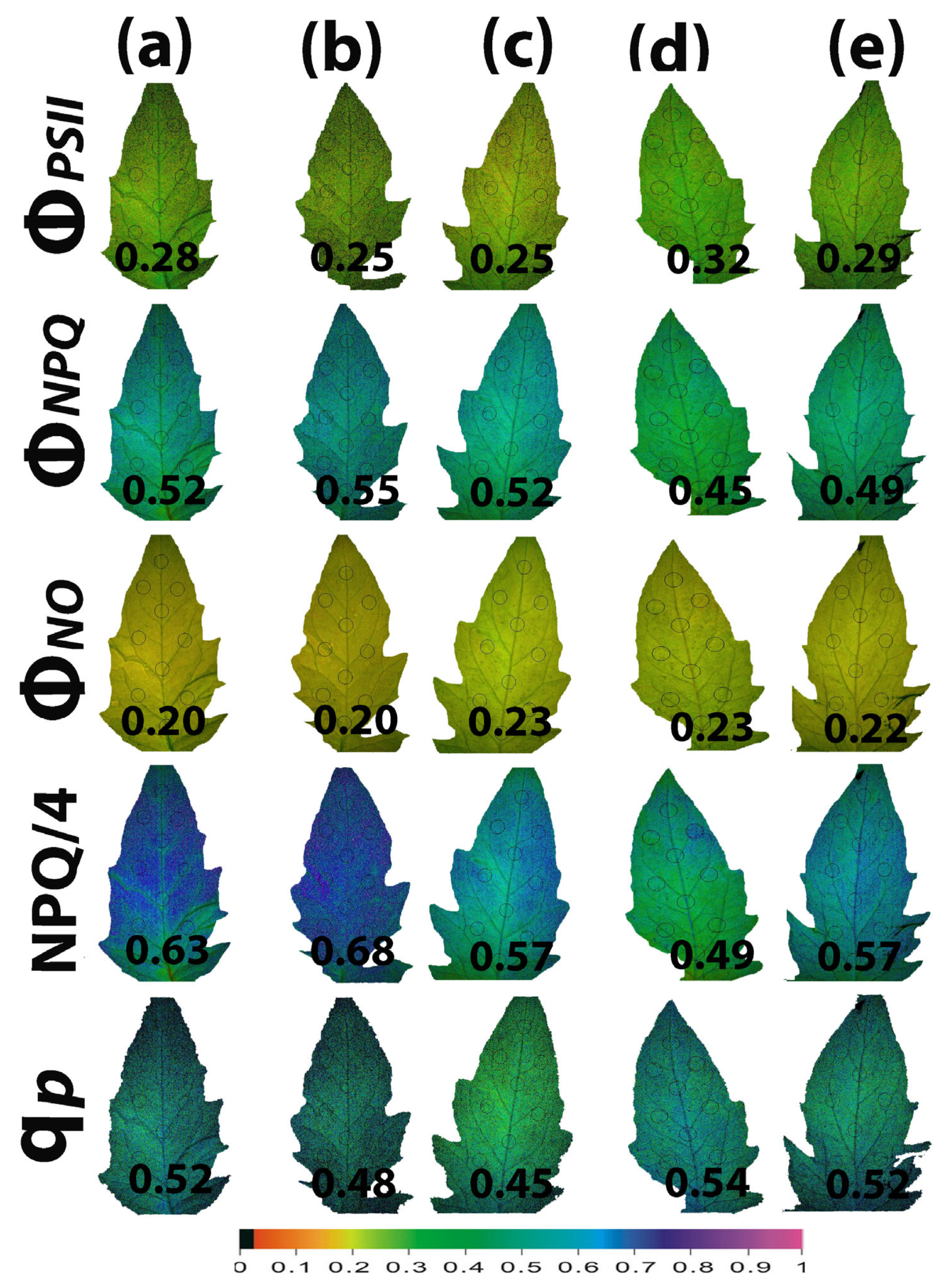 Ijms 25 08350 g009