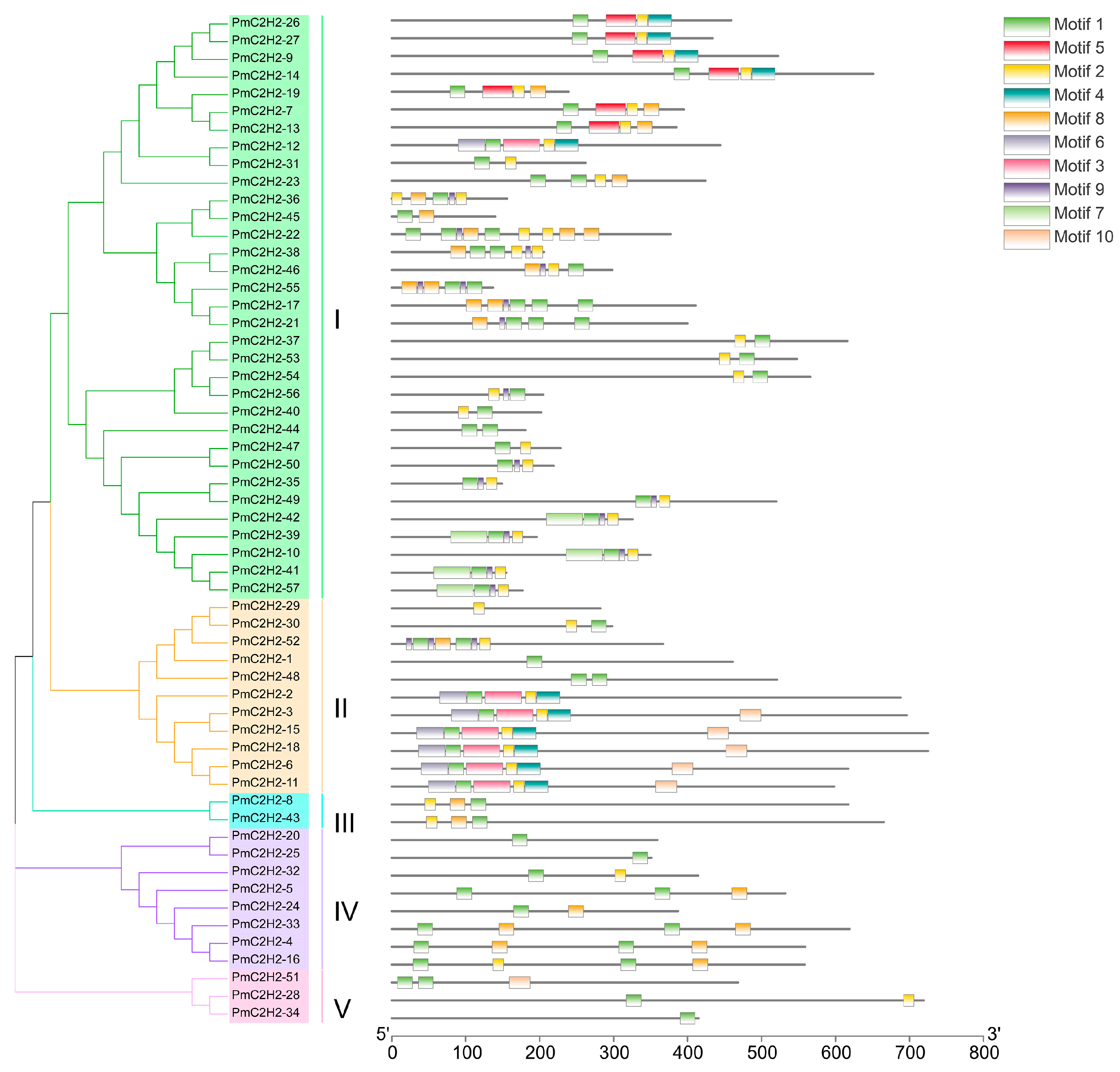 Ijms 25 08361 g001 Ijms 25 08361 g001
