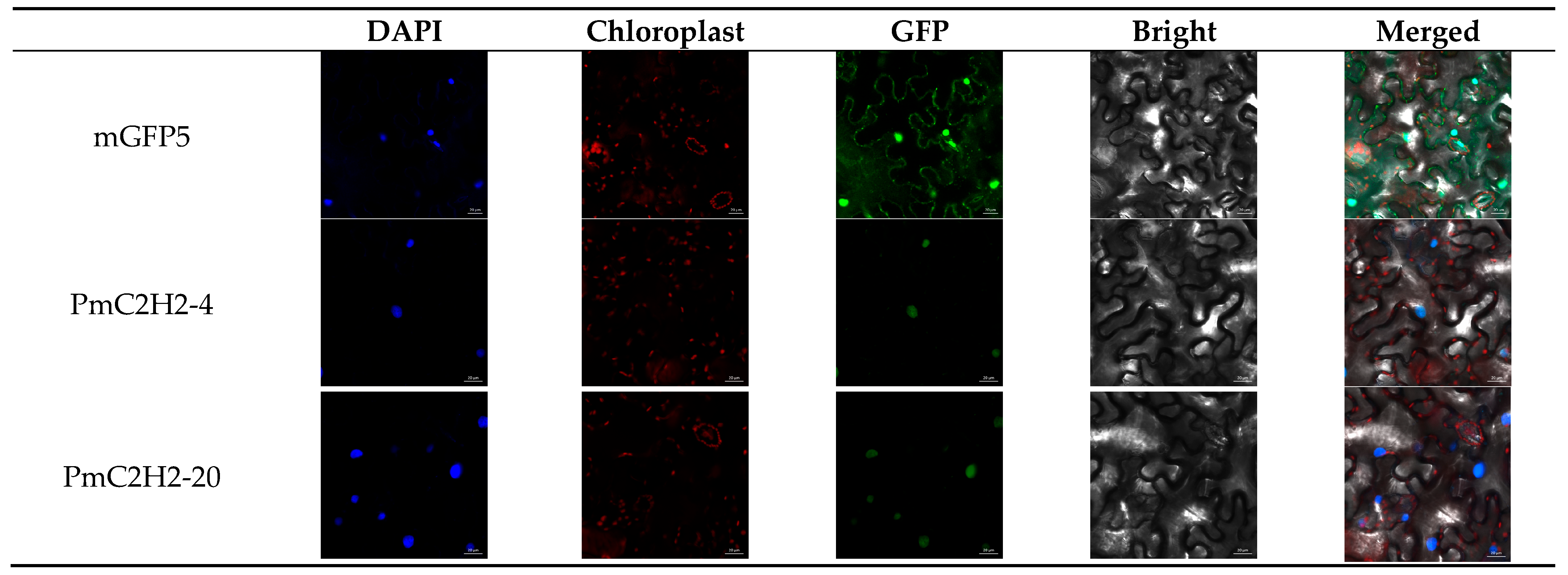 Ijms 25 08361 g002 Ijms 25 08361 g002
