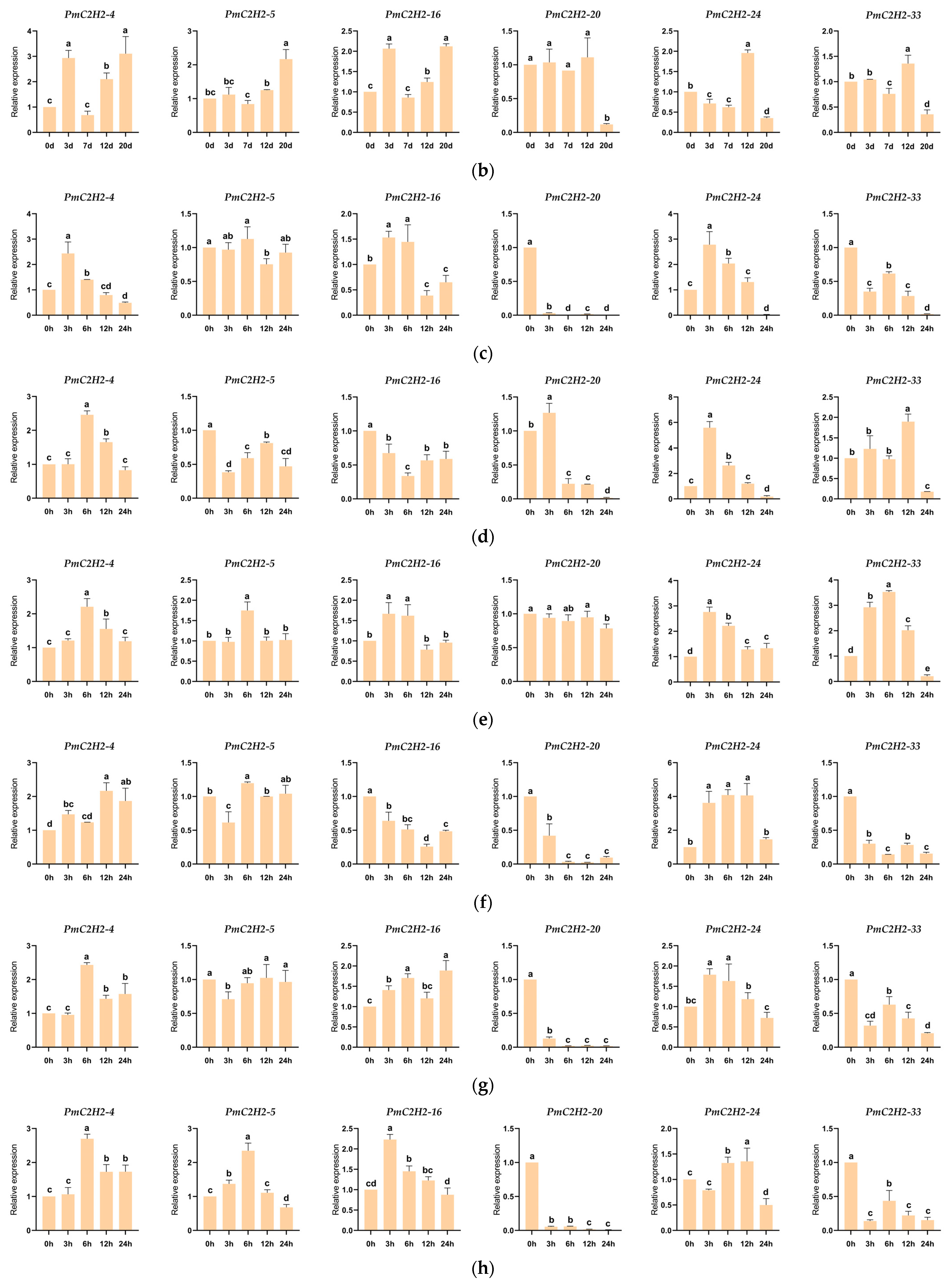 Ijms 25 08361 g005b Ijms 25 08361 g005b