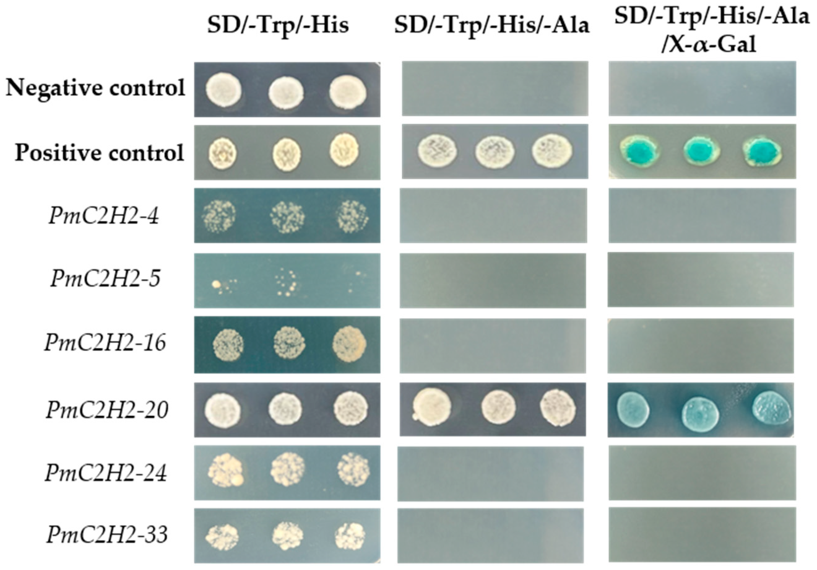 Ijms 25 08361 g006 Ijms 25 08361 g006