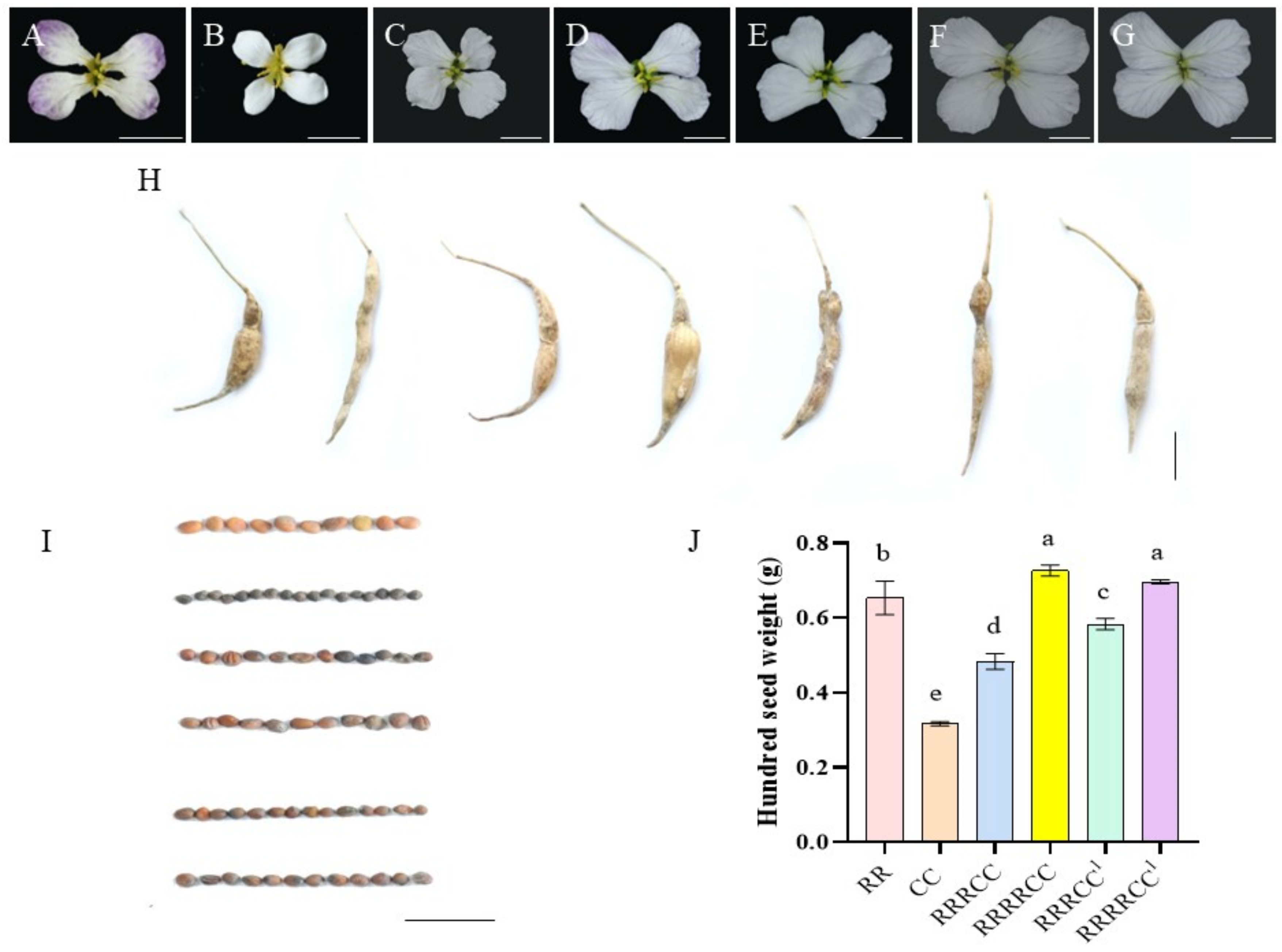 Ijms 25 08368 g002 Ijms 25 08368 g002
