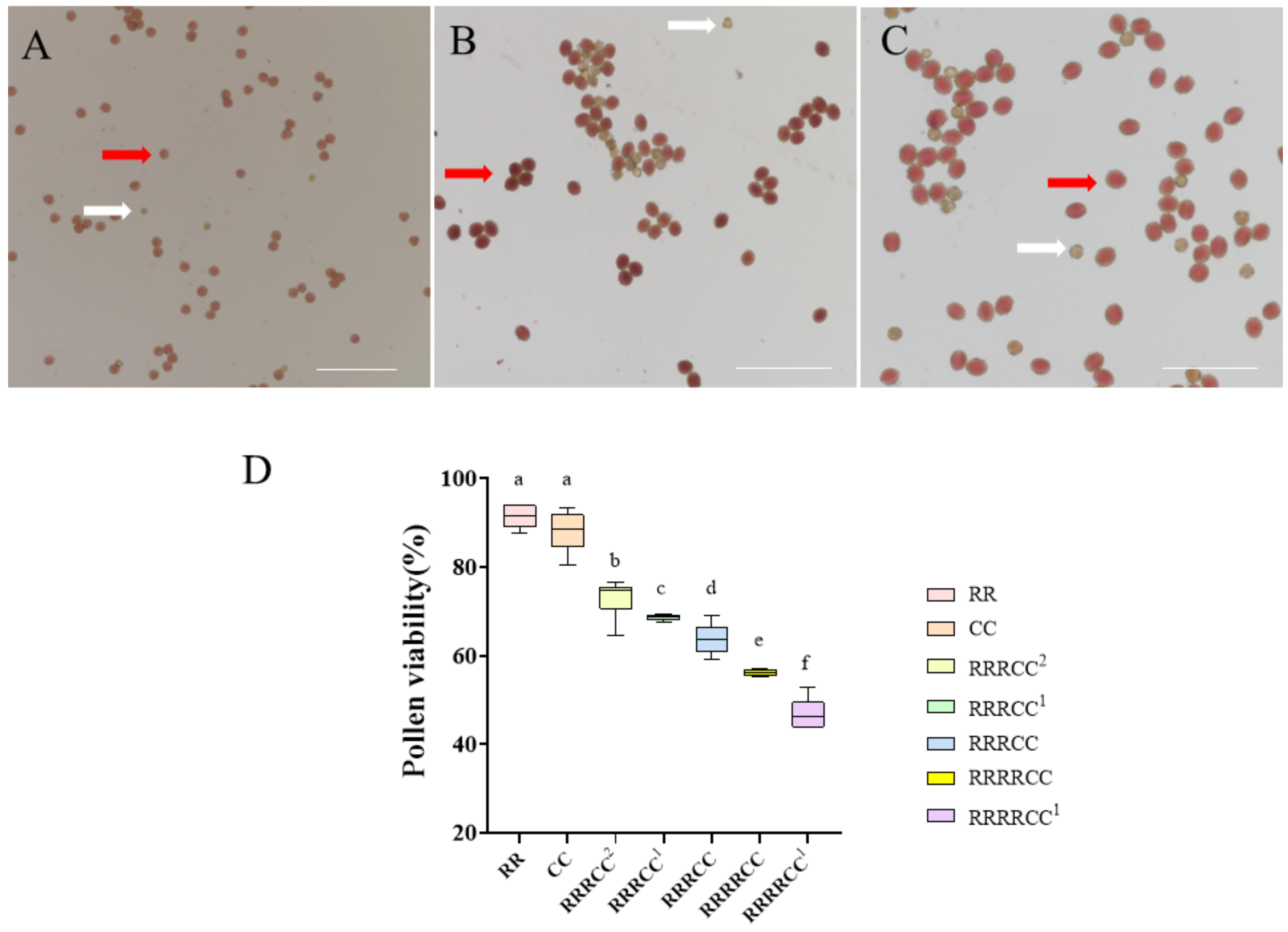 Ijms 25 08368 g004 Ijms 25 08368 g004