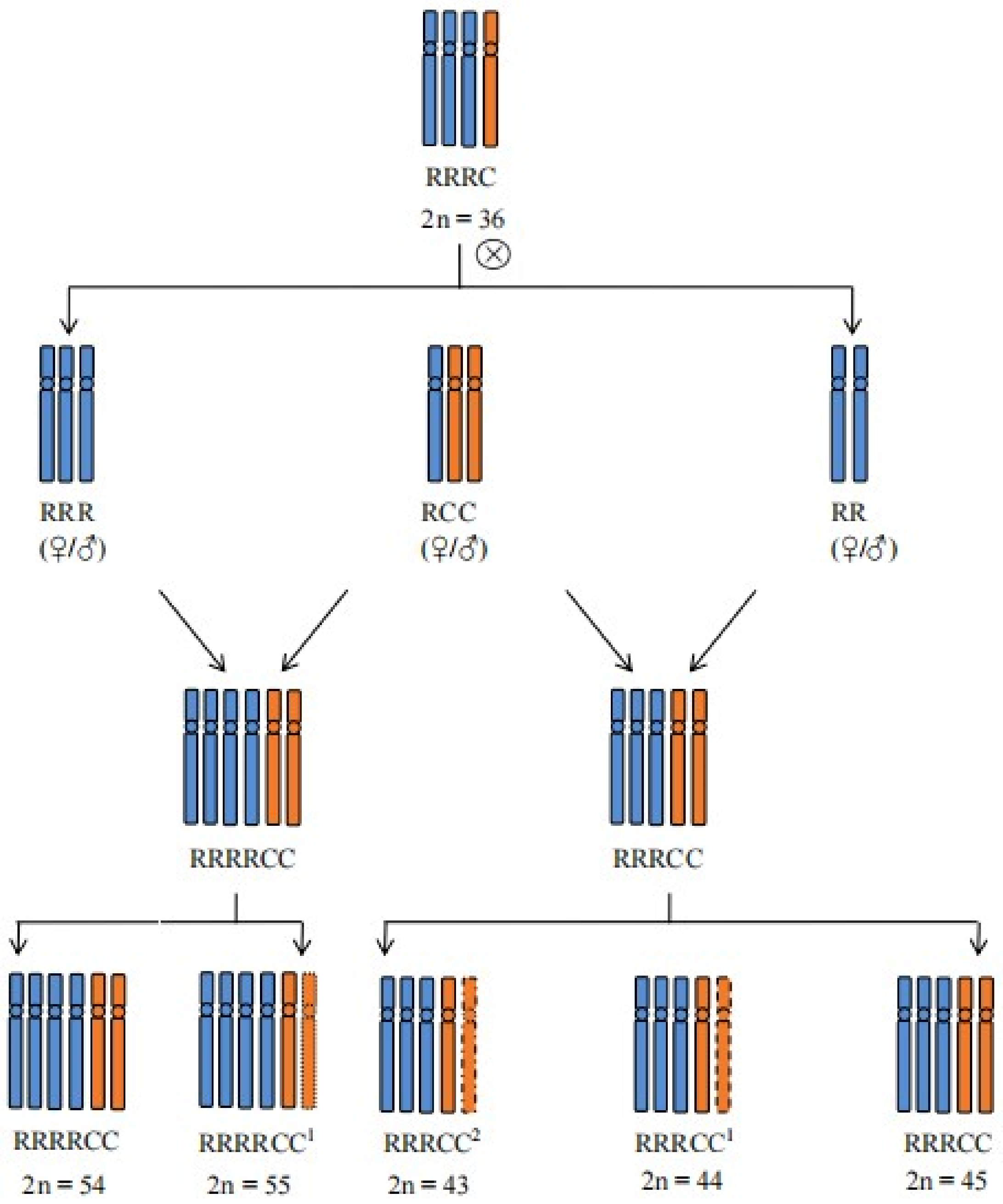Ijms 25 08368 g007 Ijms 25 08368 g007