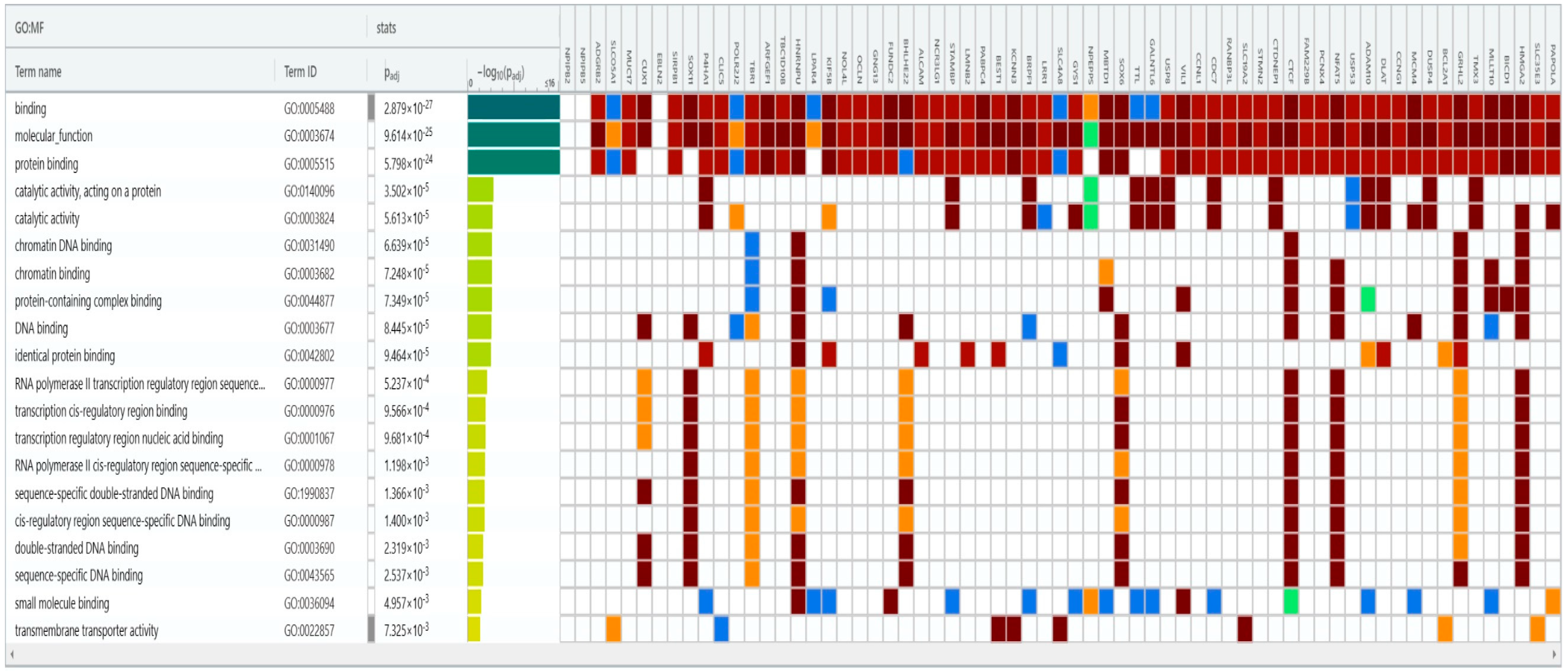 Ijms 25 08410 g005 Ijms 25 08410 g005