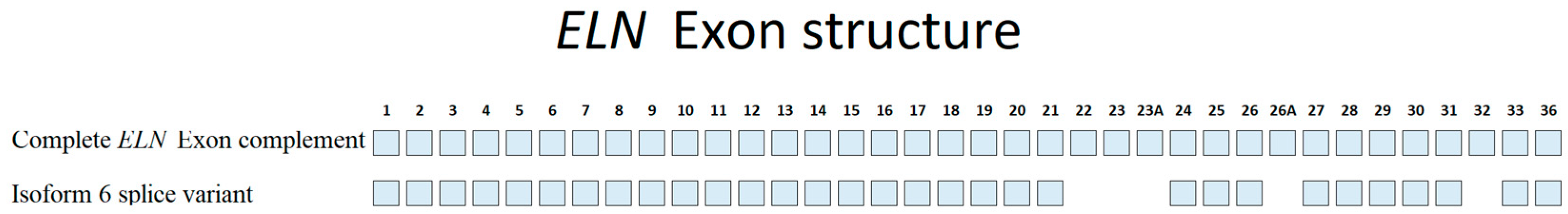 Ijms 25 08430 g002 Ijms 25 08430 g002