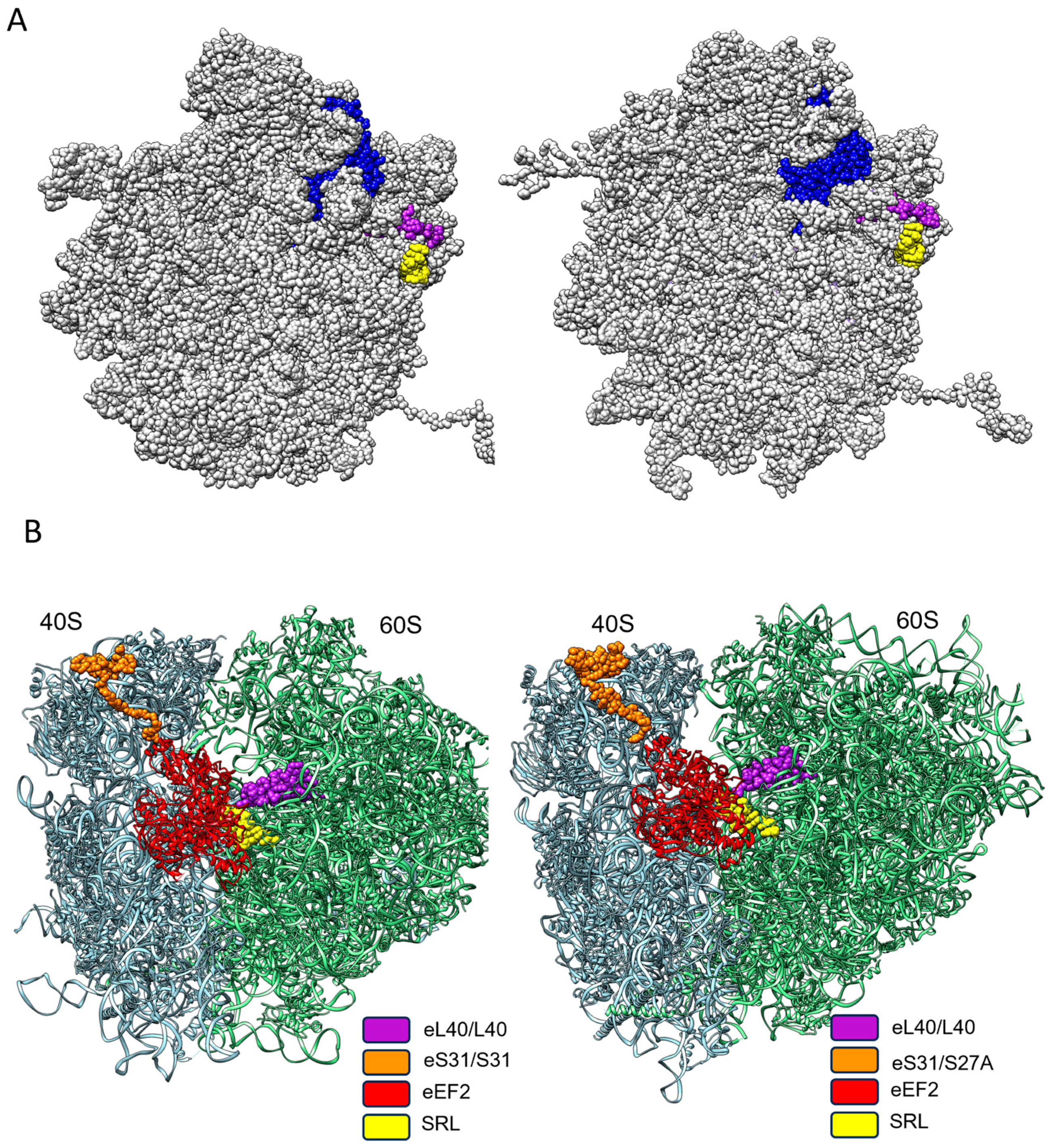 Ijms 25 08430 g005 Ijms 25 08430 g005