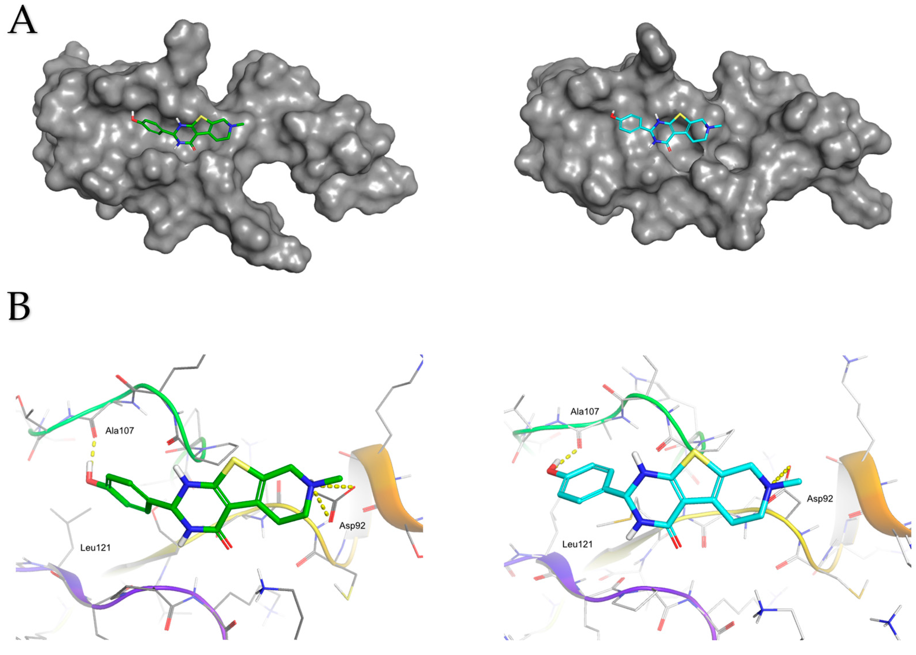 Ijms 25 08430 g009 Ijms 25 08430 g009