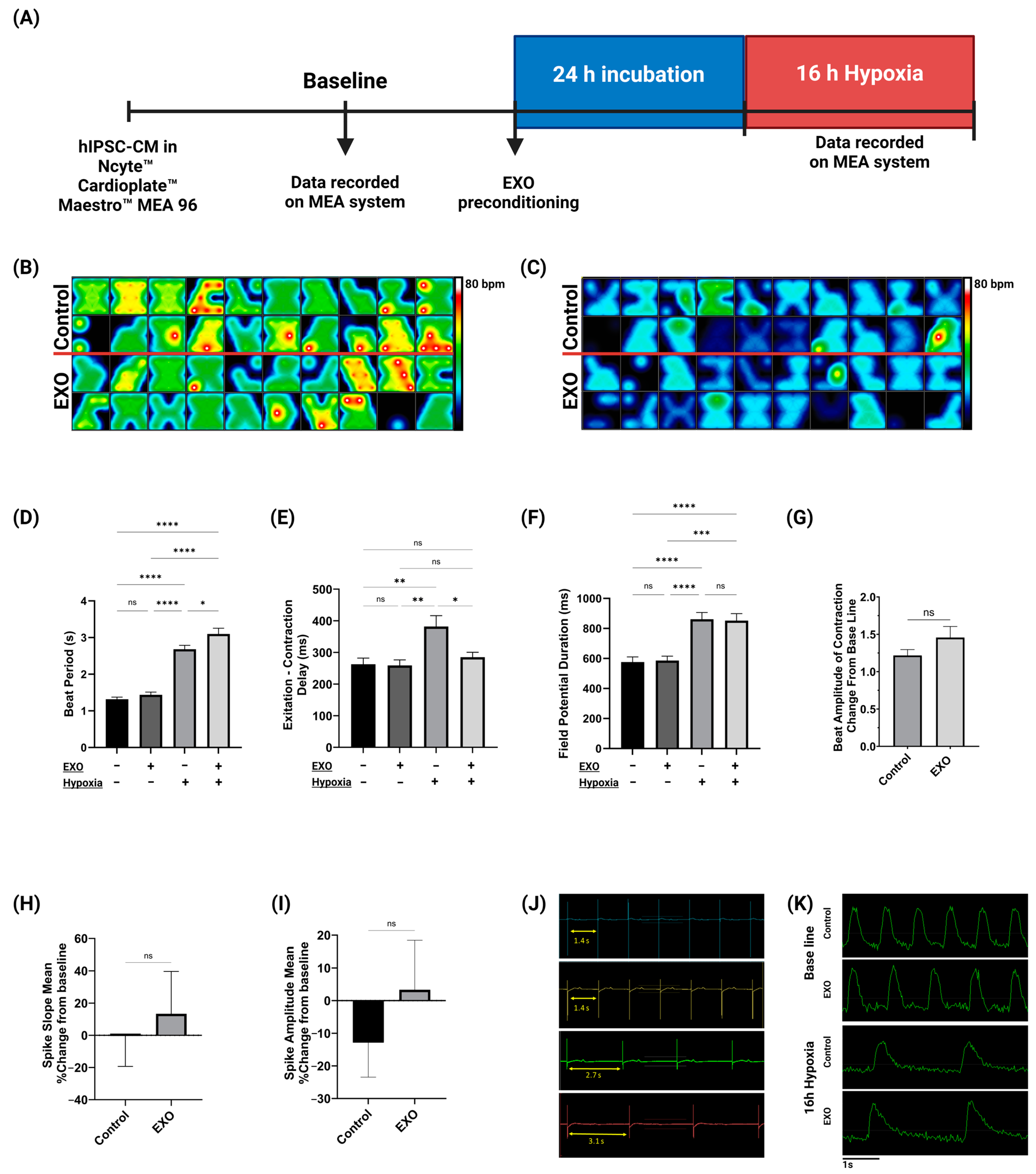 Ijms 25 08460 g002 Ijms 25 08460 g002