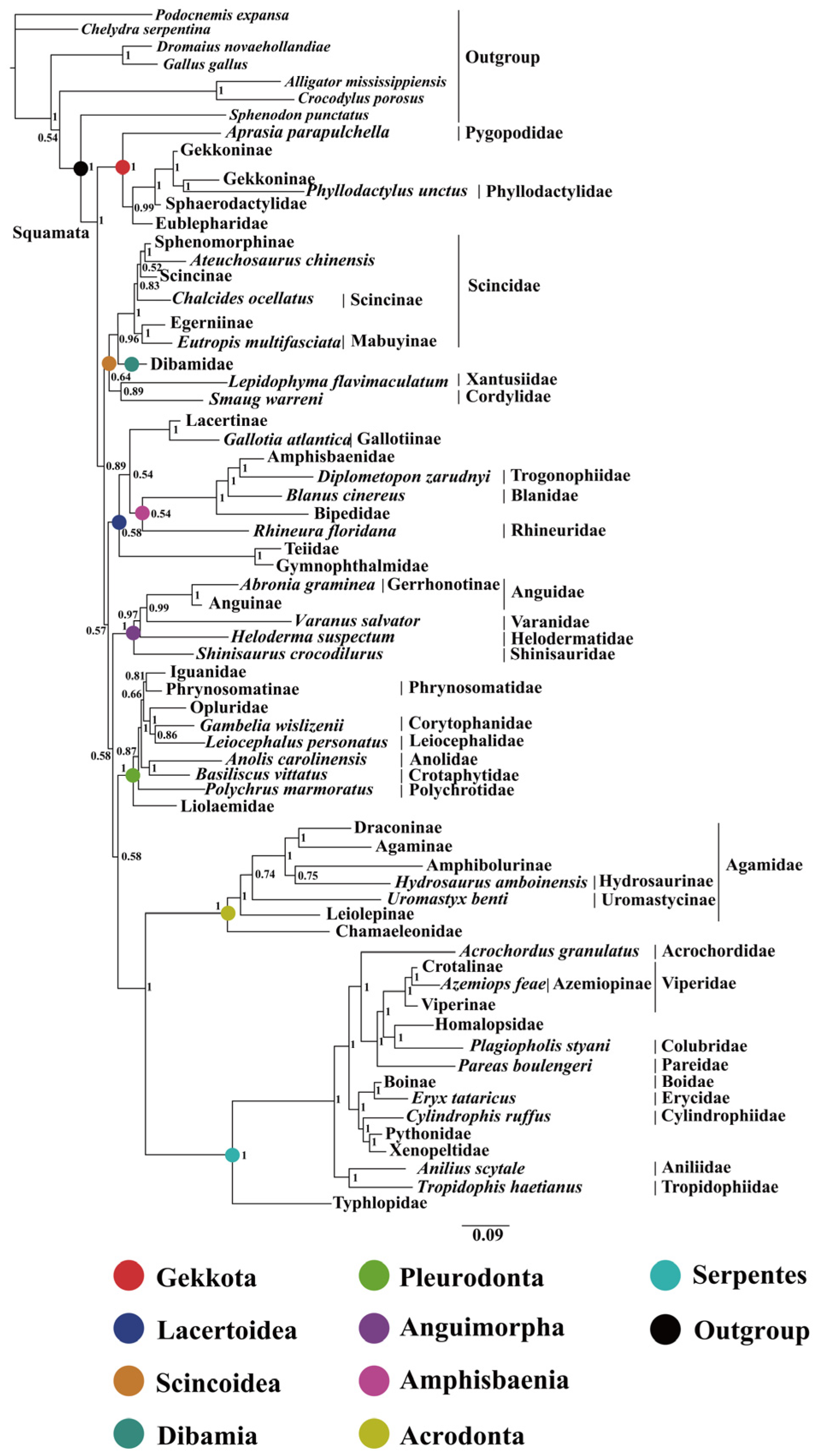 Ijms 25 08464 g003 Ijms 25 08464 g003