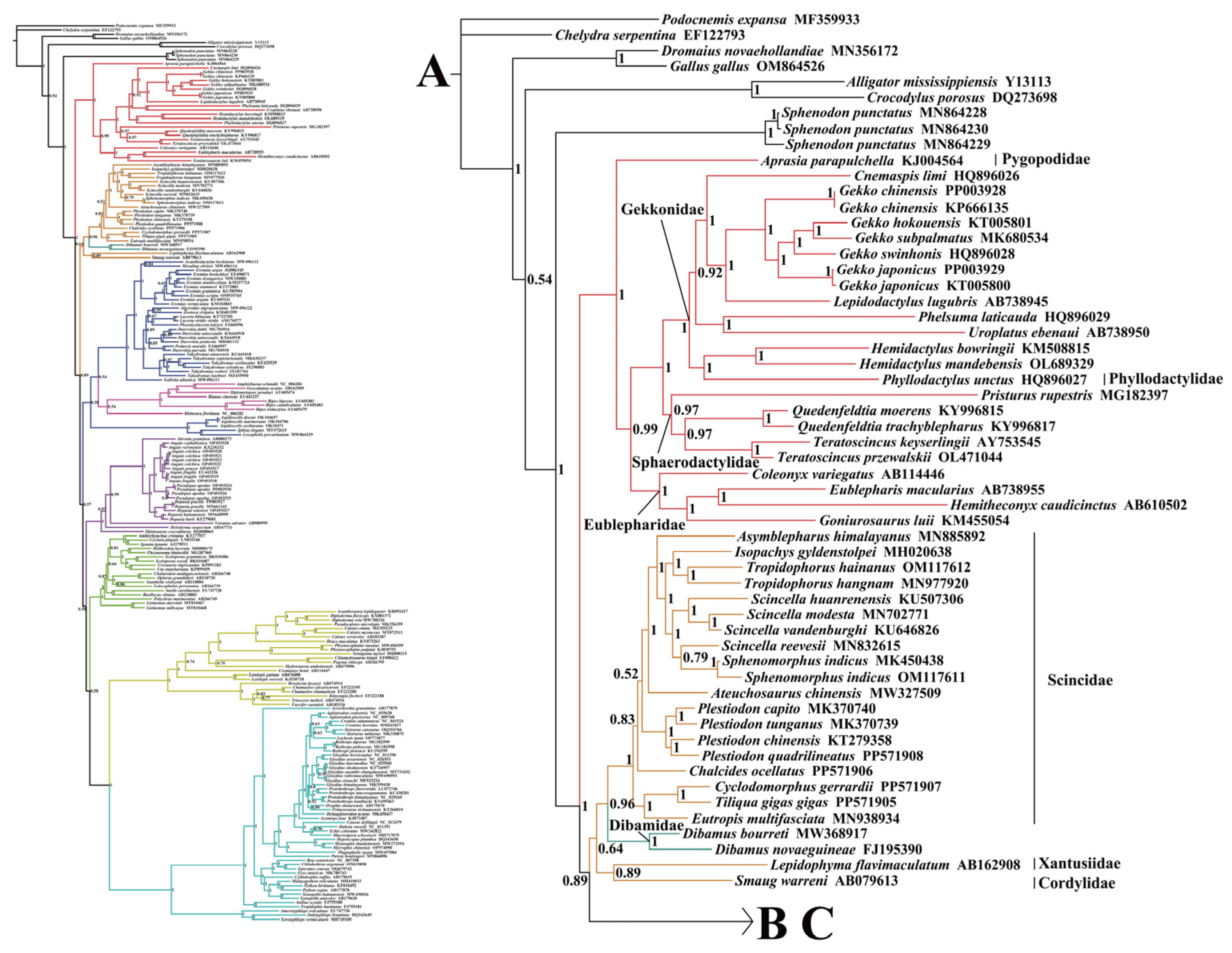 Ijms 25 08464 g004 Ijms 25 08464 g004