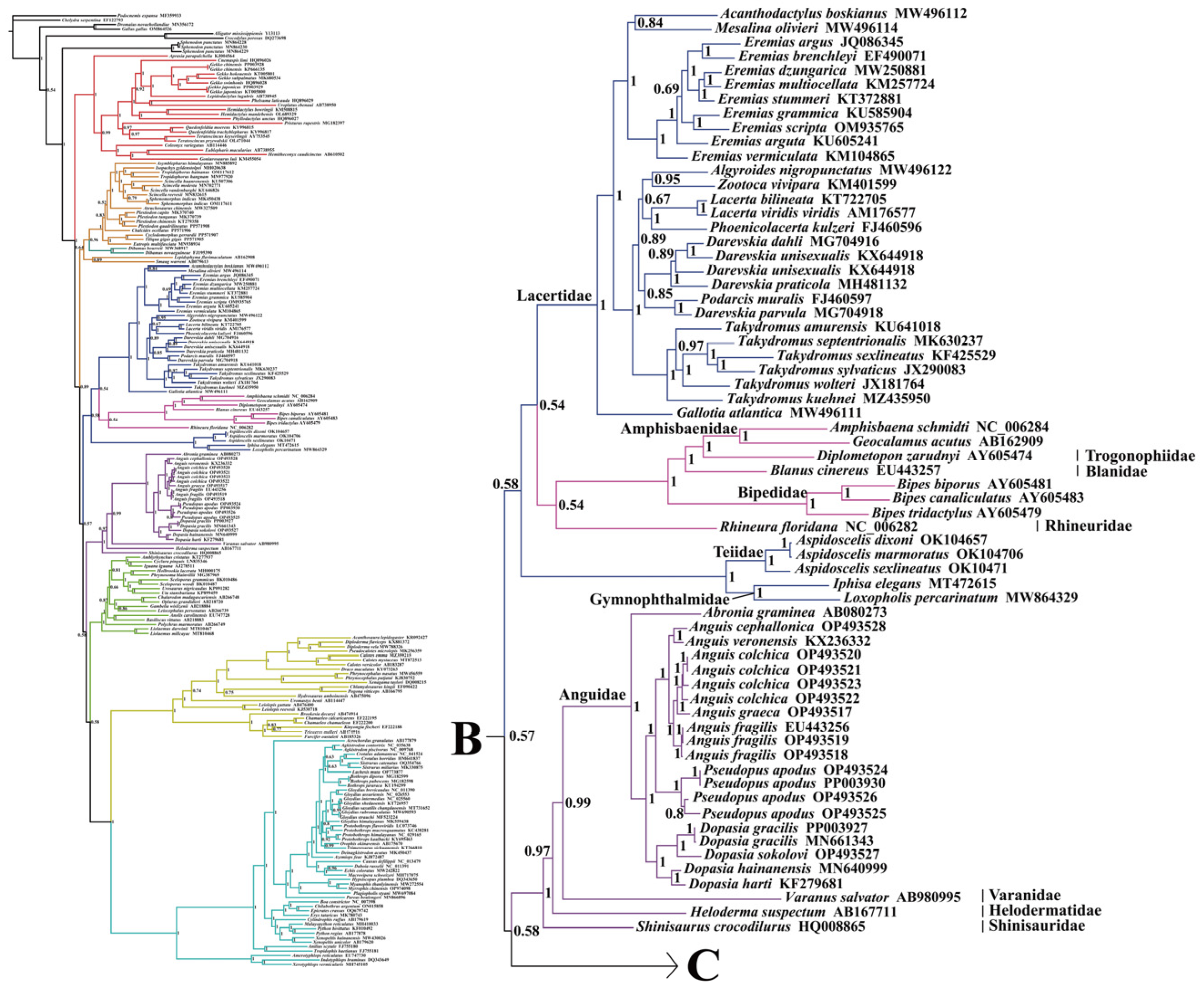 Ijms 25 08464 g005 Ijms 25 08464 g005