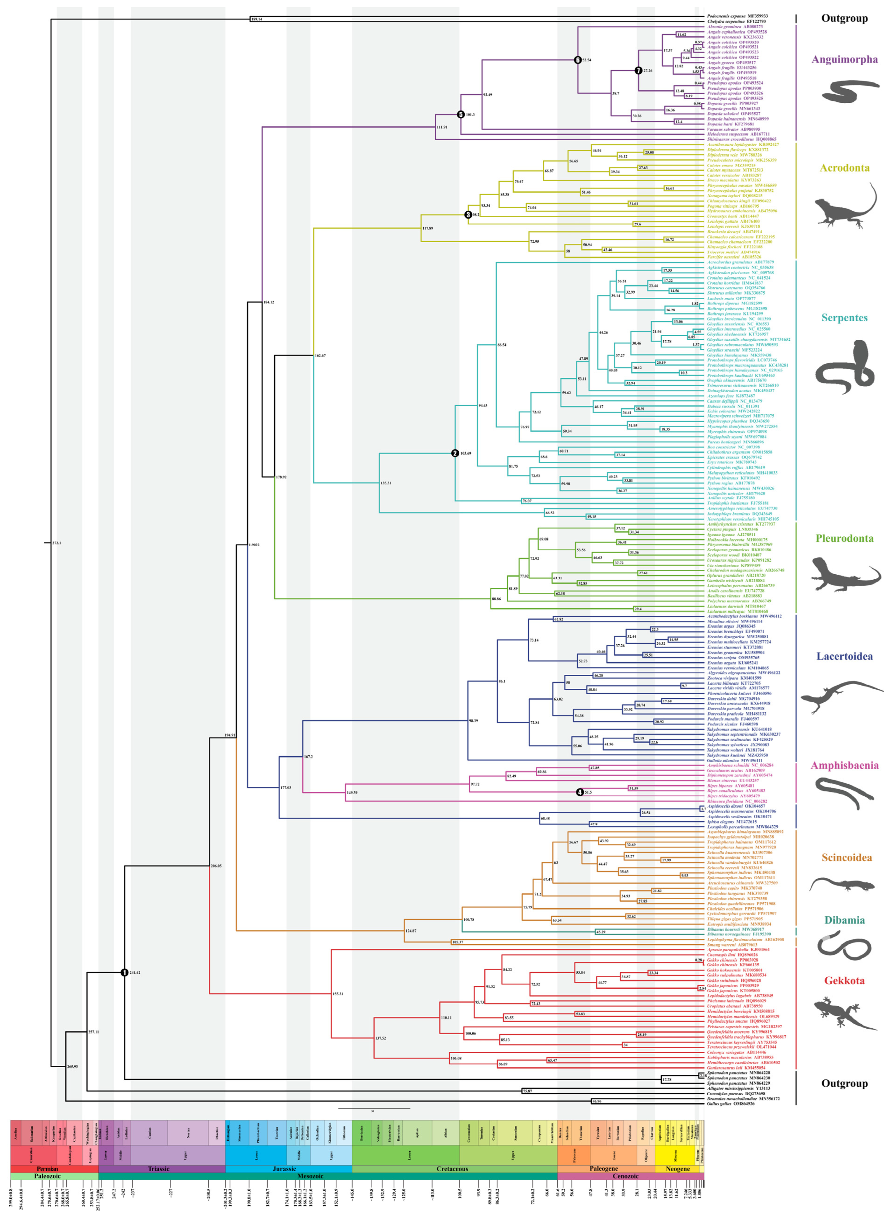 Ijms 25 08464 g007 Ijms 25 08464 g007